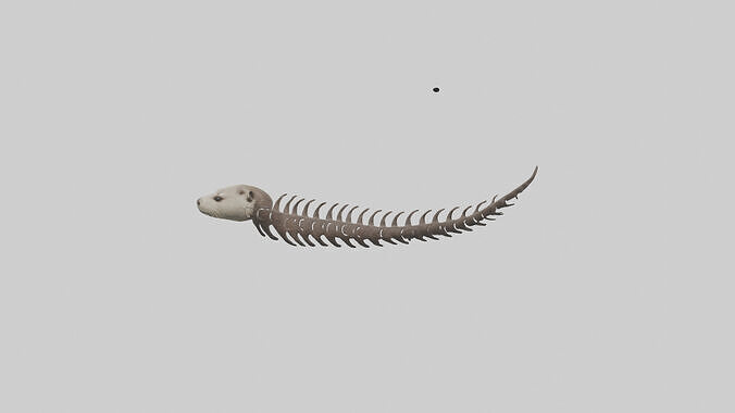 Otter Spine Low-poly 3D model