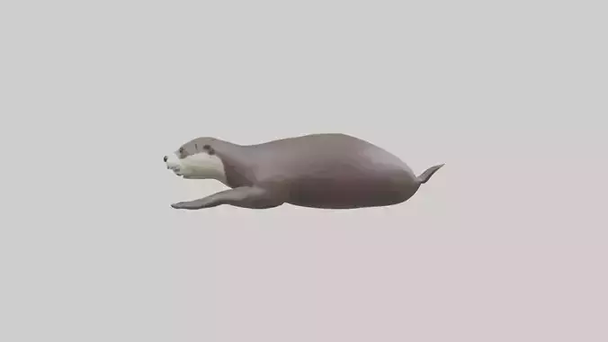 Otter swimming model