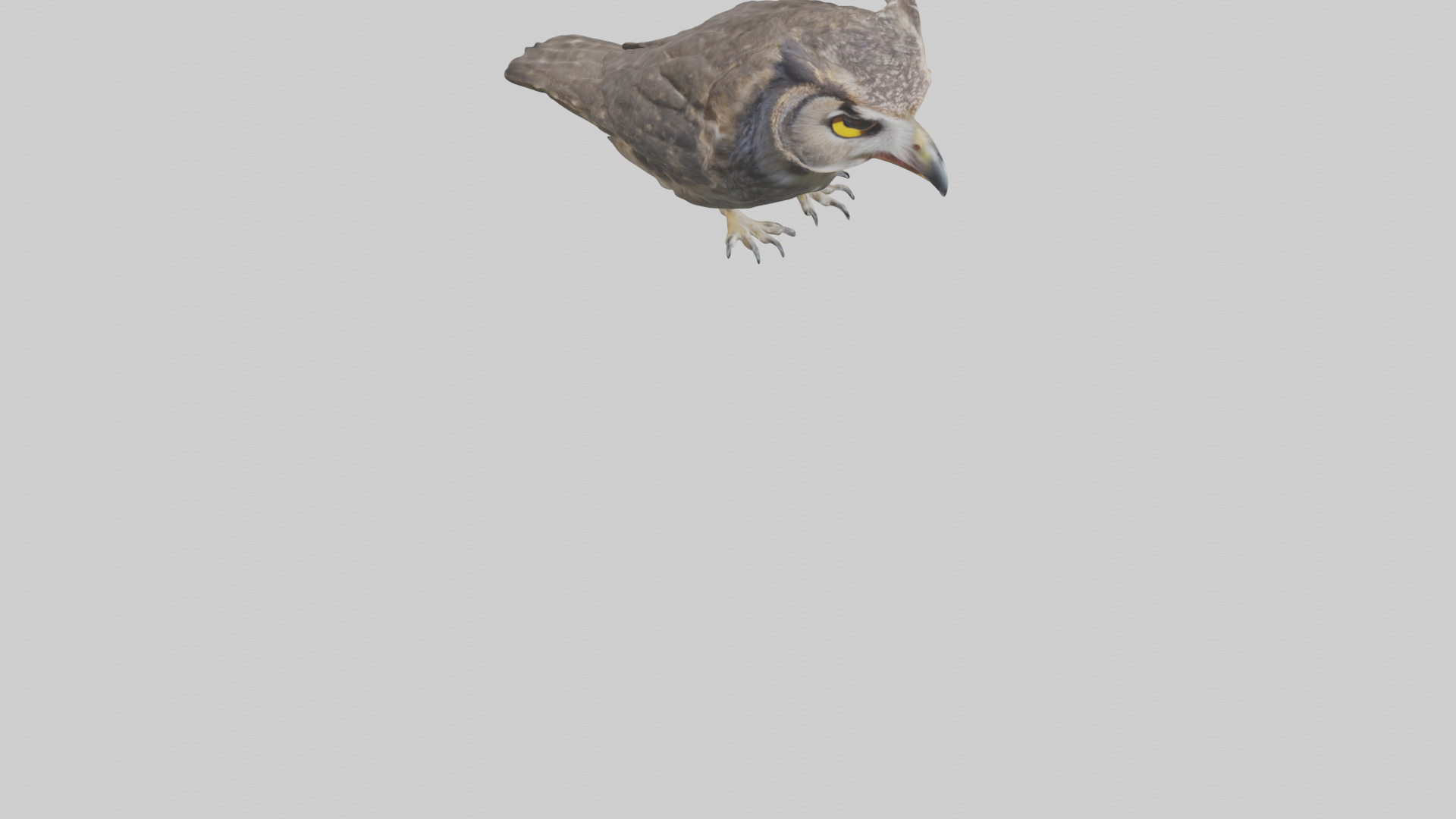Owl Beak Low-poly 3D model_6