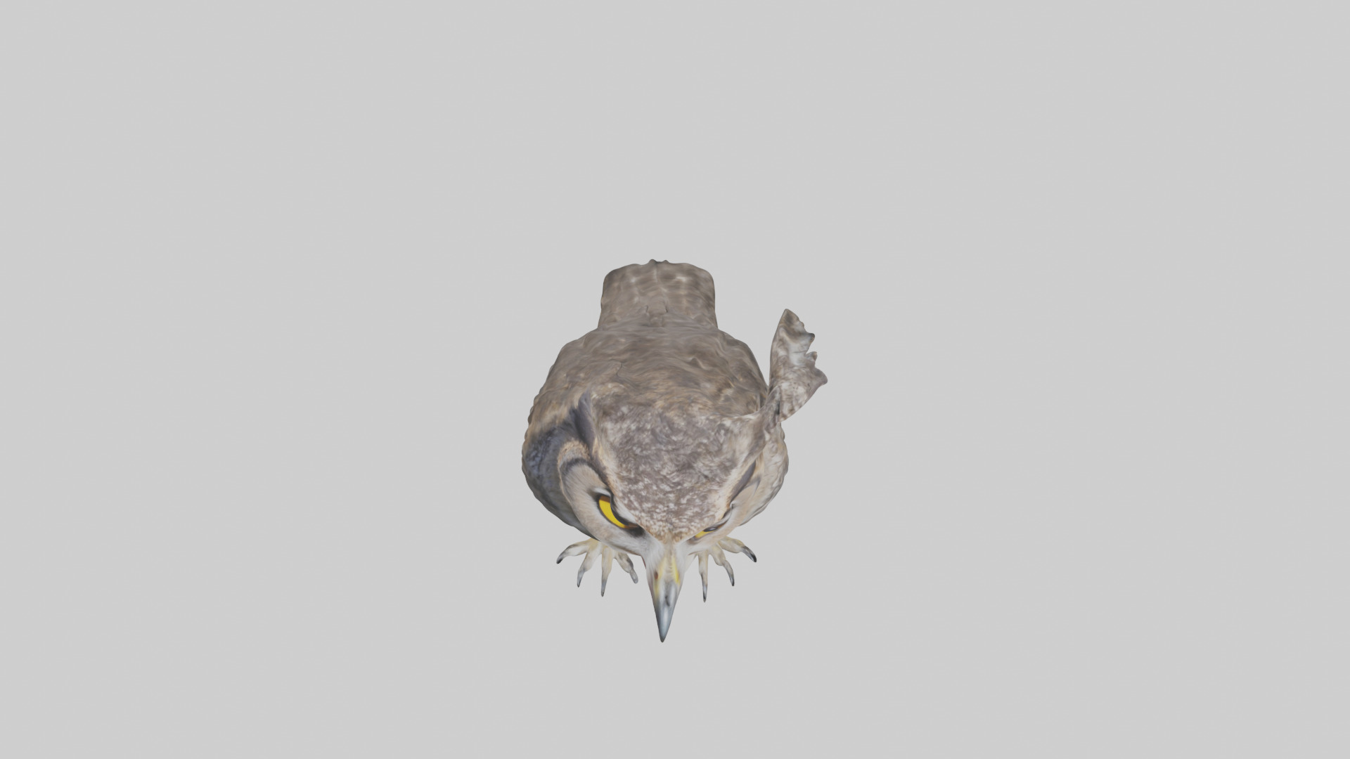 Owl Beak Low-poly 3D model_16