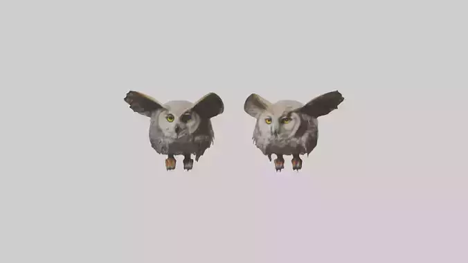 Owl Eyes Model Low-poly 3D model