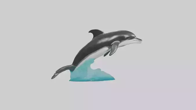 Pacific Whitesided Dolphin statue model