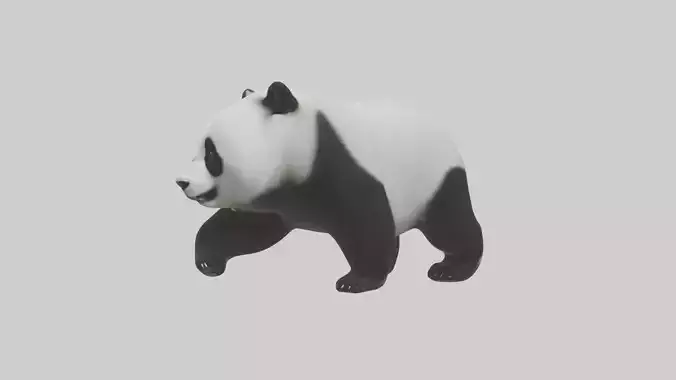 Panda walking model