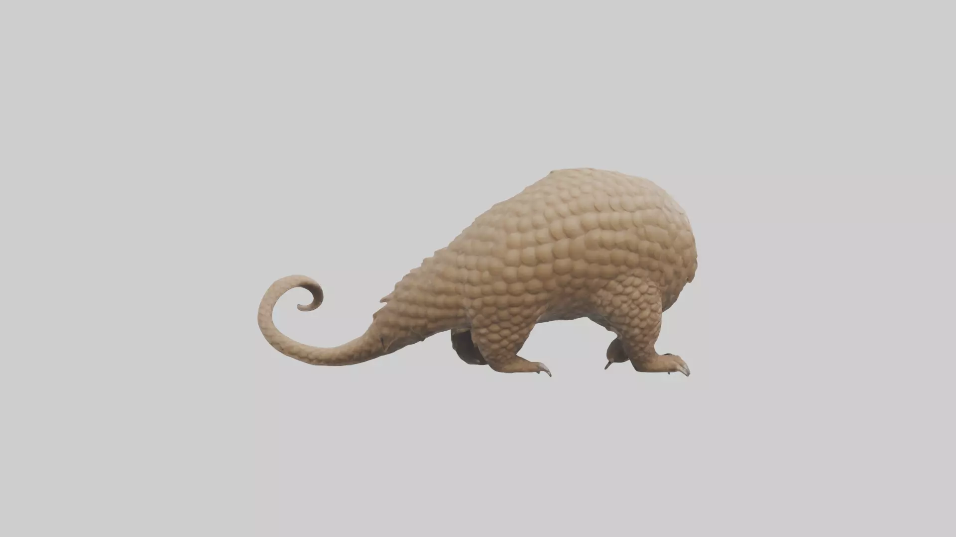 Pangolin Body Model Low-poly 3D model_0