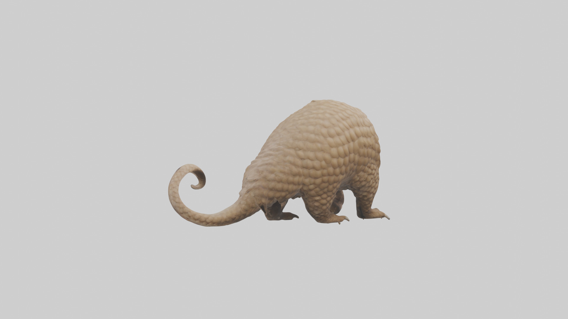Pangolin Body Model Low-poly 3D model_1