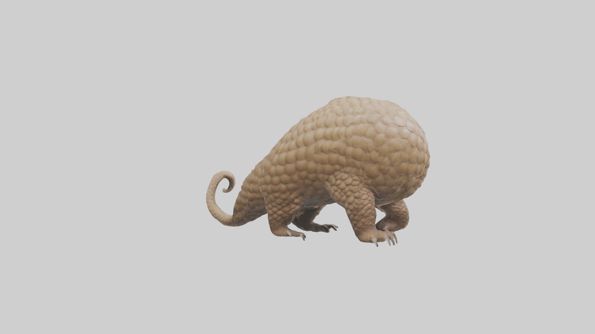 Pangolin Body Model Low-poly 3D model_2