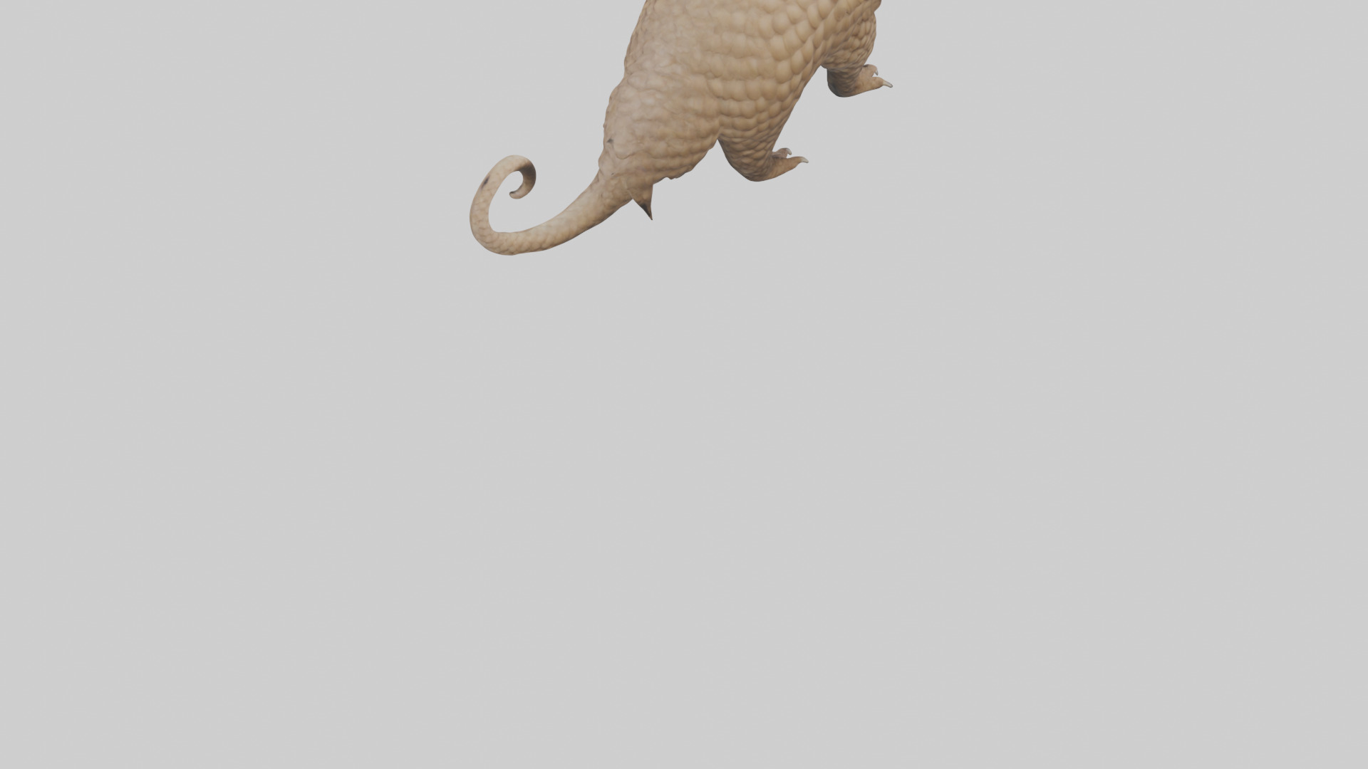 Pangolin Body Model Low-poly 3D model_3