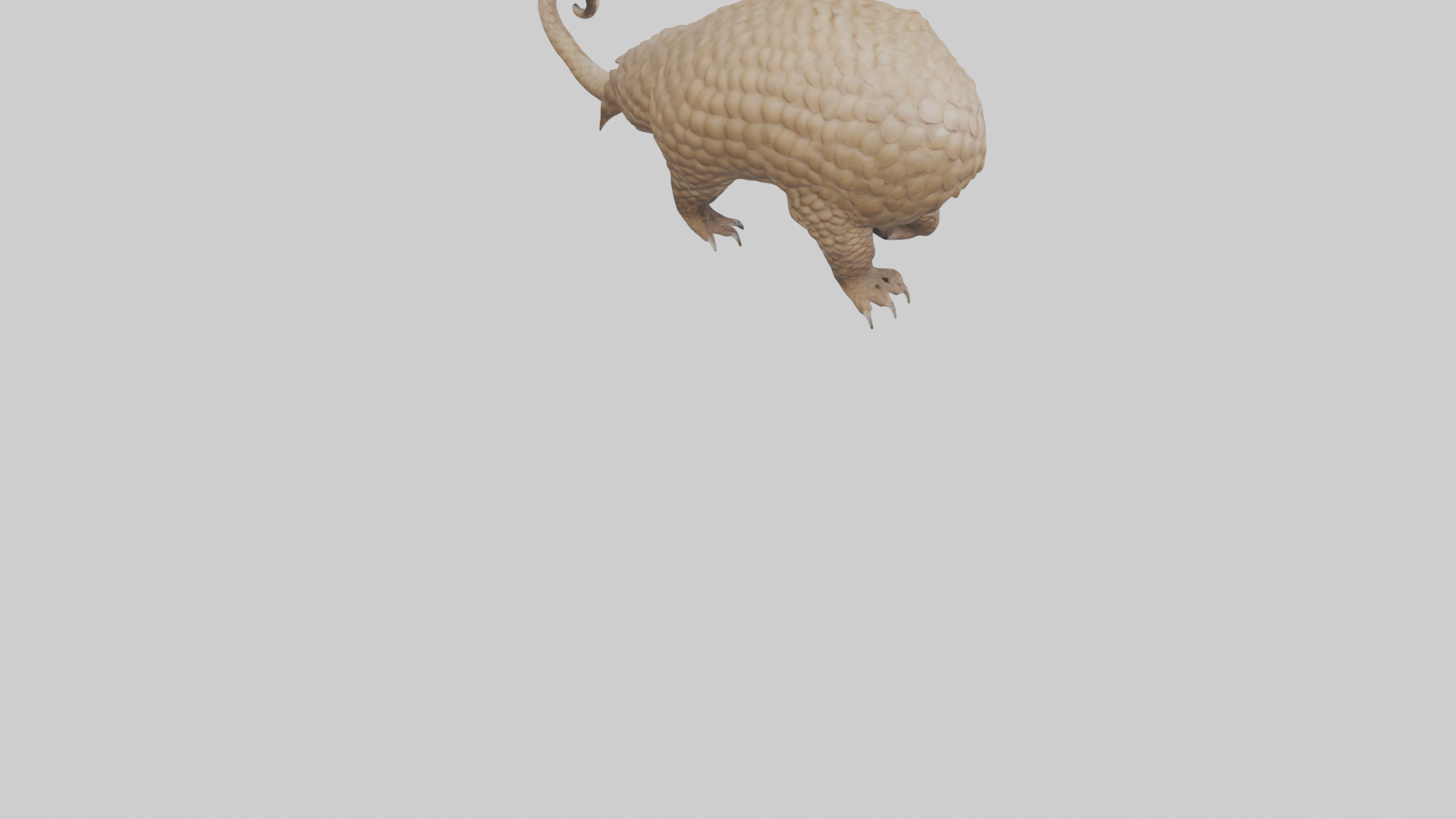 Pangolin Body Model Low-poly 3D model_4