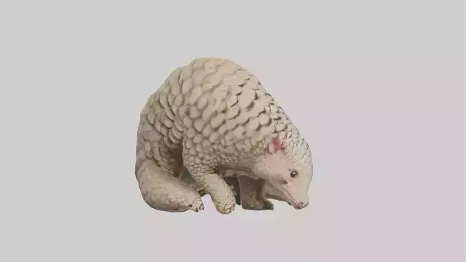Pangolin curled up model Low-poly 3D model
