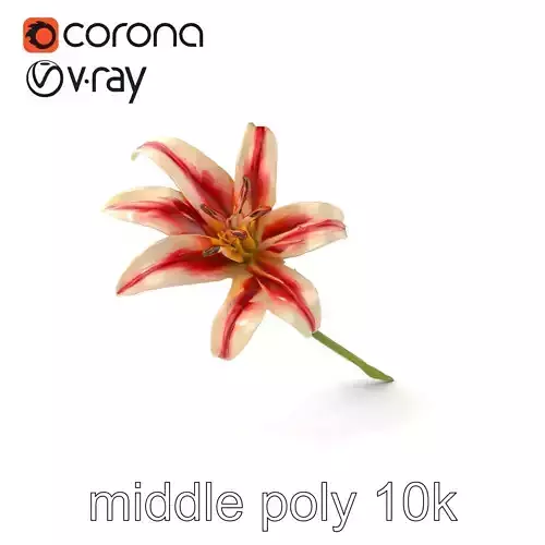 Realistic Lily Flower Species Model Pack