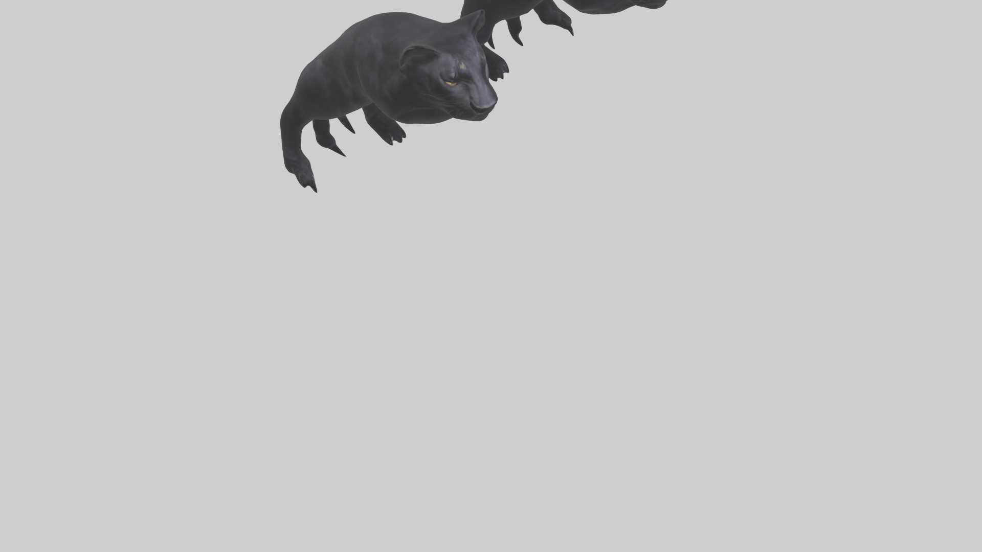 Panther Paws Low-poly 3D model_5