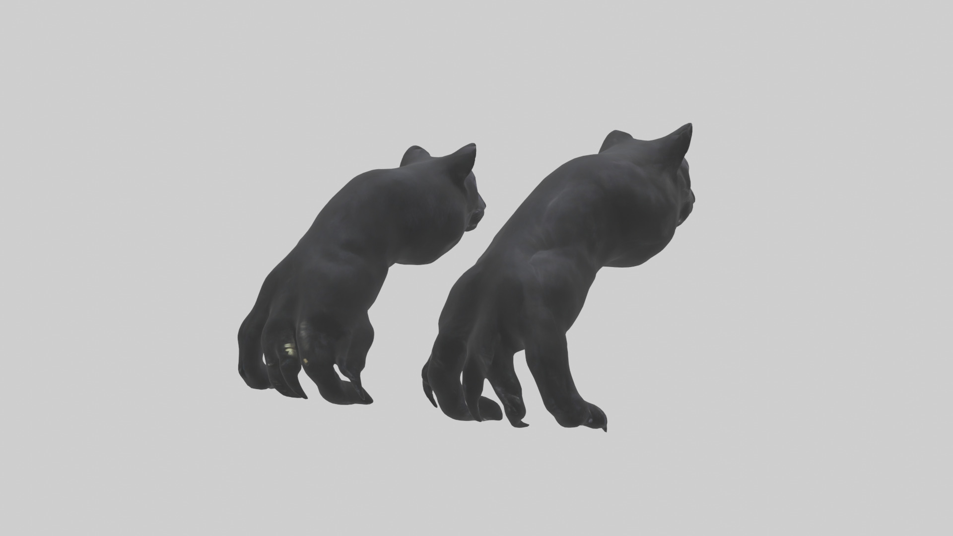 Panther Paws Low-poly 3D model_7