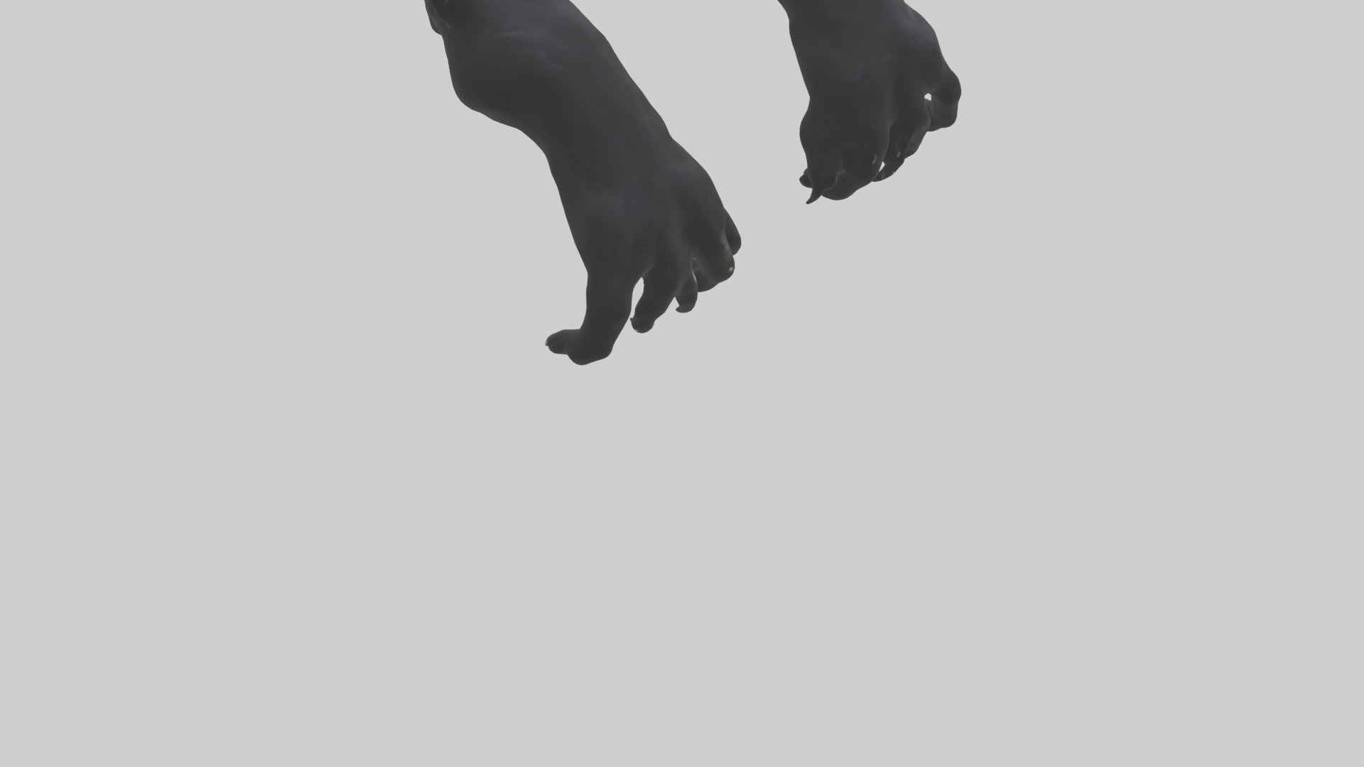 Panther Paws Low-poly 3D model_4