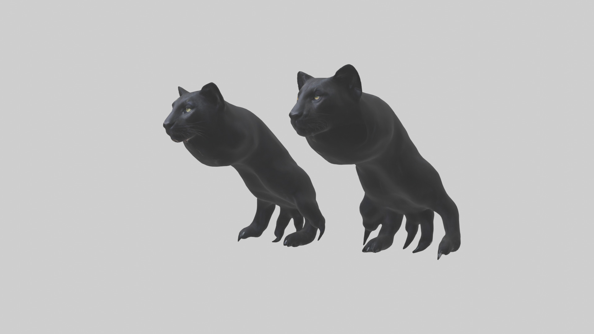 Panther Paws Low-poly 3D model_1