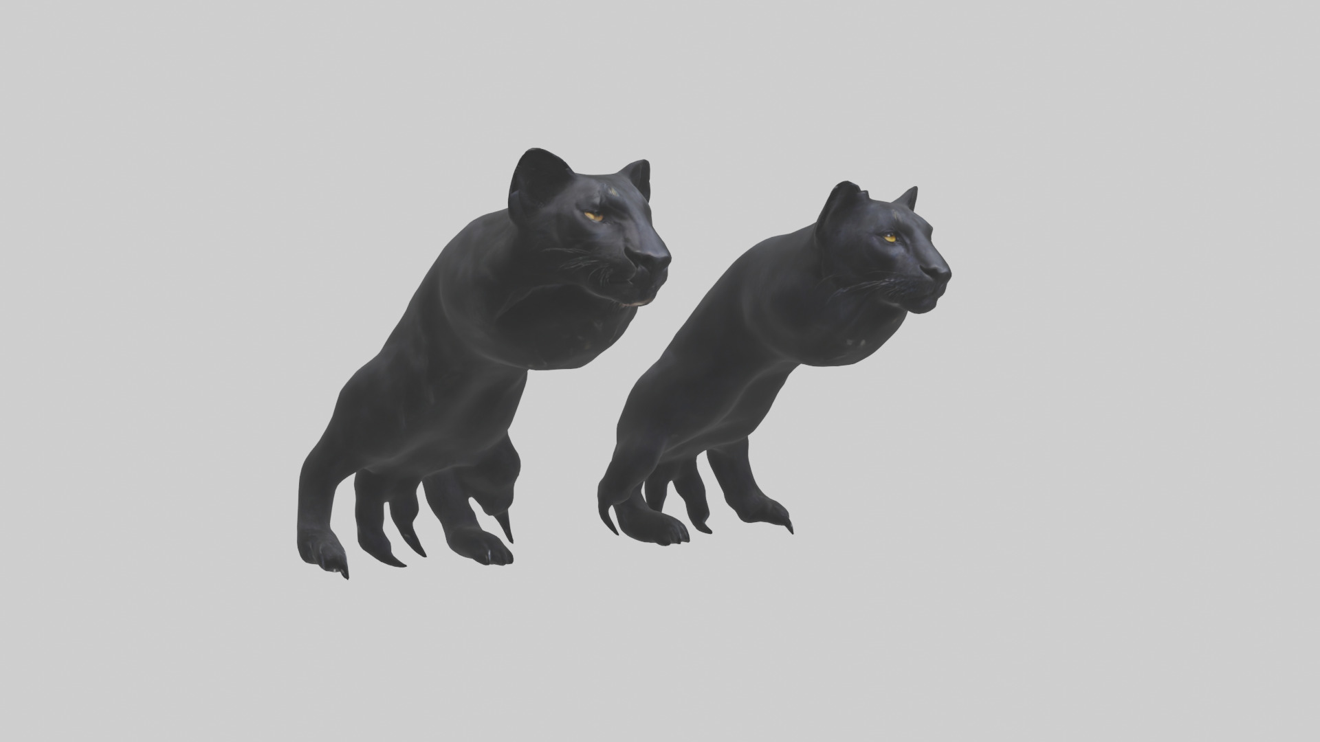 Panther Paws Low-poly 3D model_10