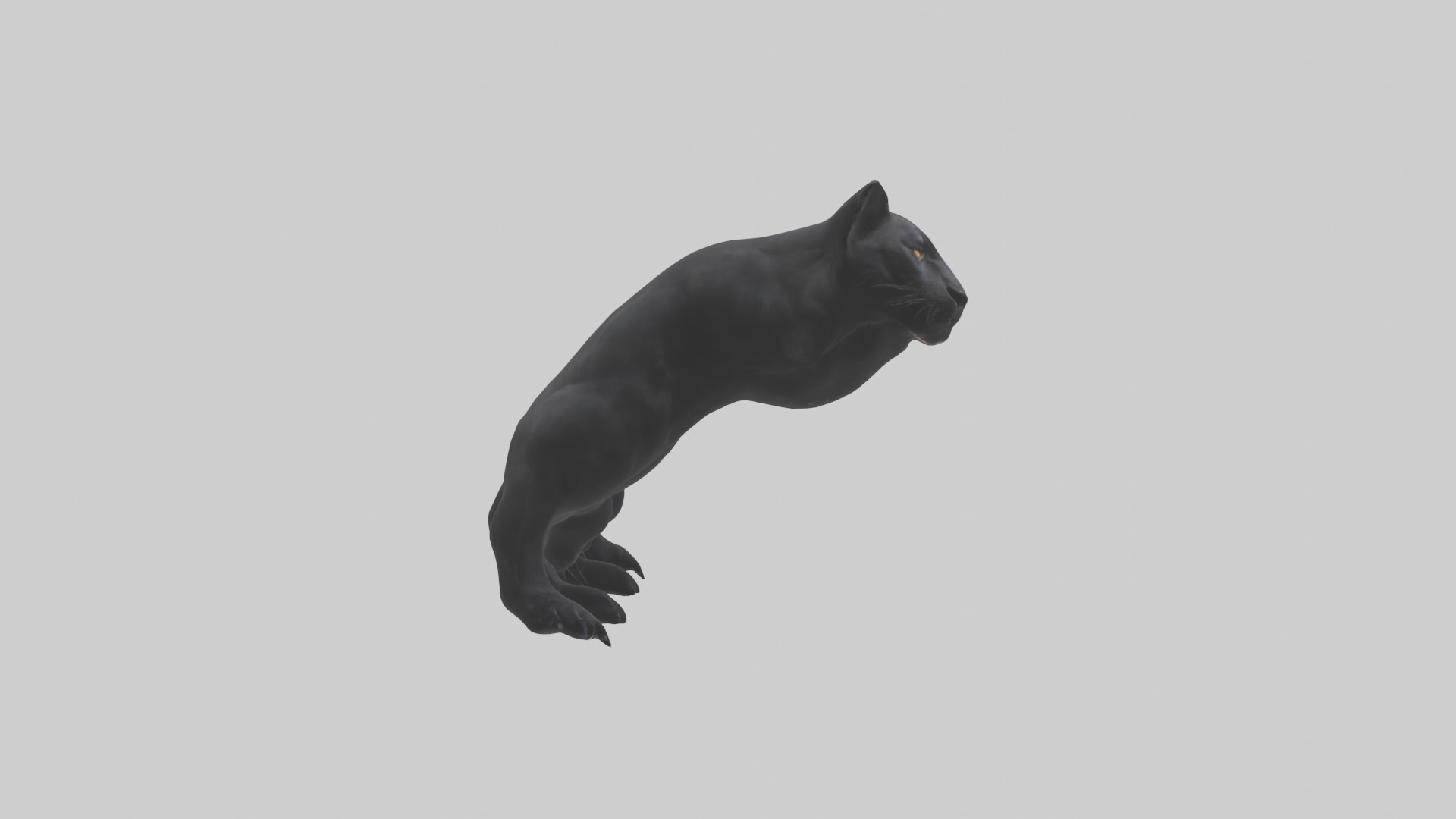 Panther Paws Low-poly 3D model_9