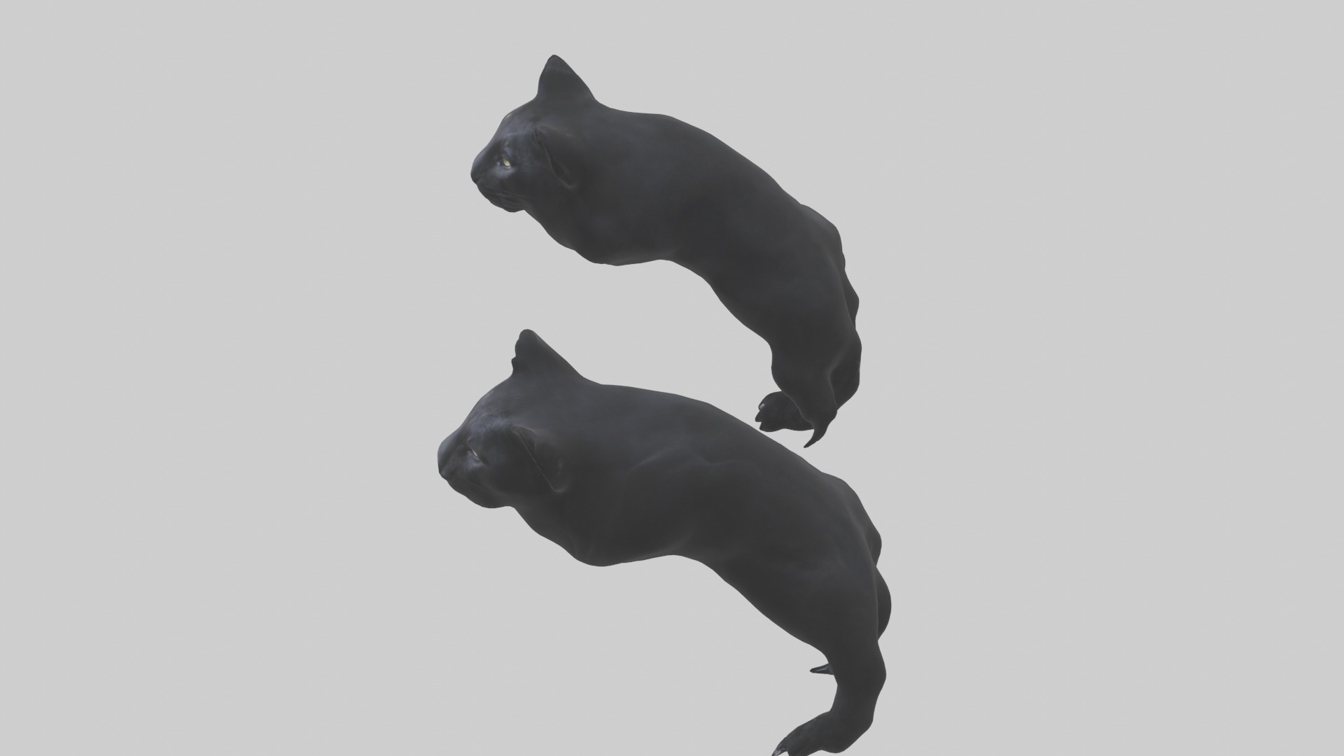 Panther Paws Low-poly 3D model_15