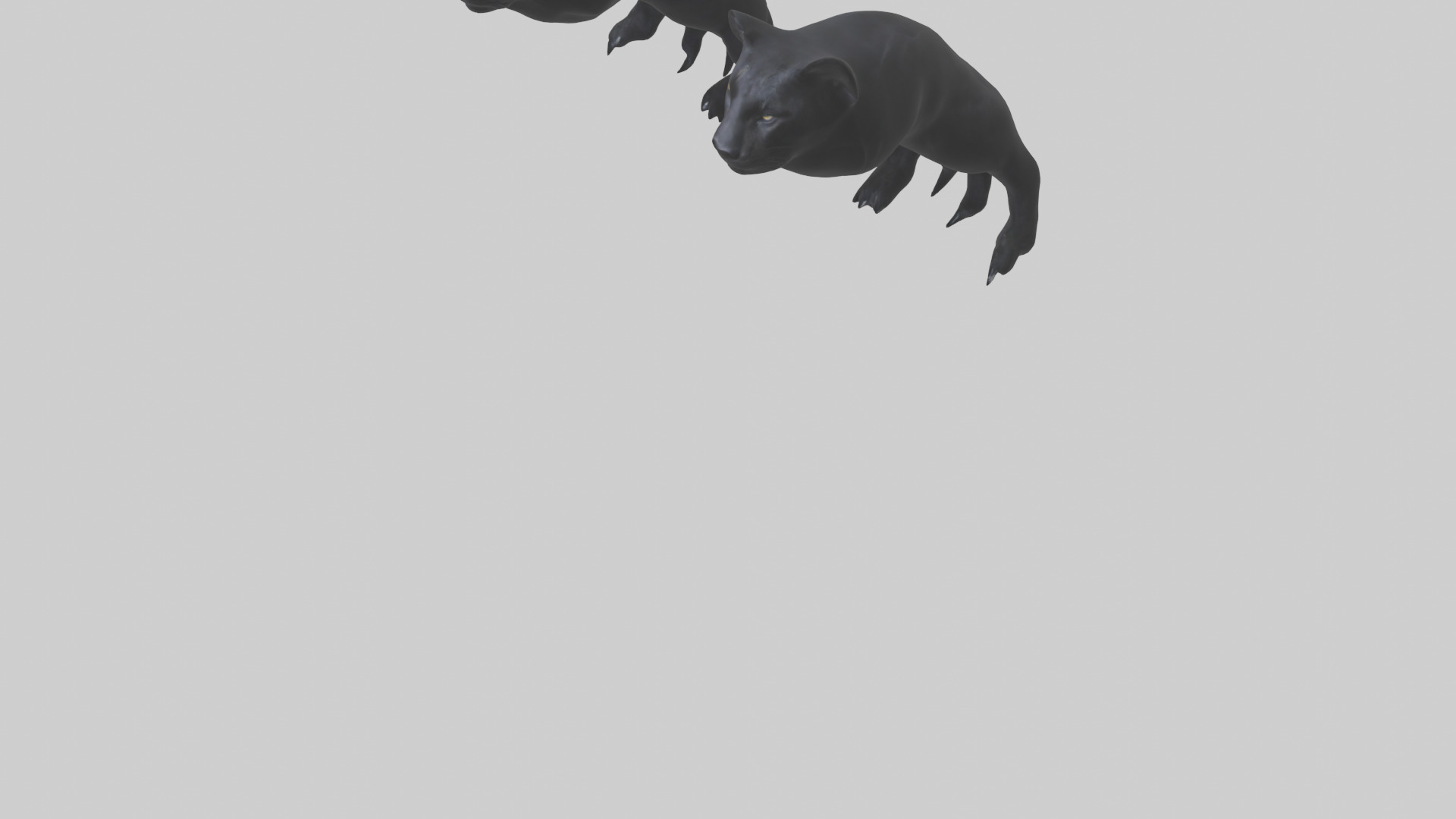 Panther Paws Low-poly 3D model_3