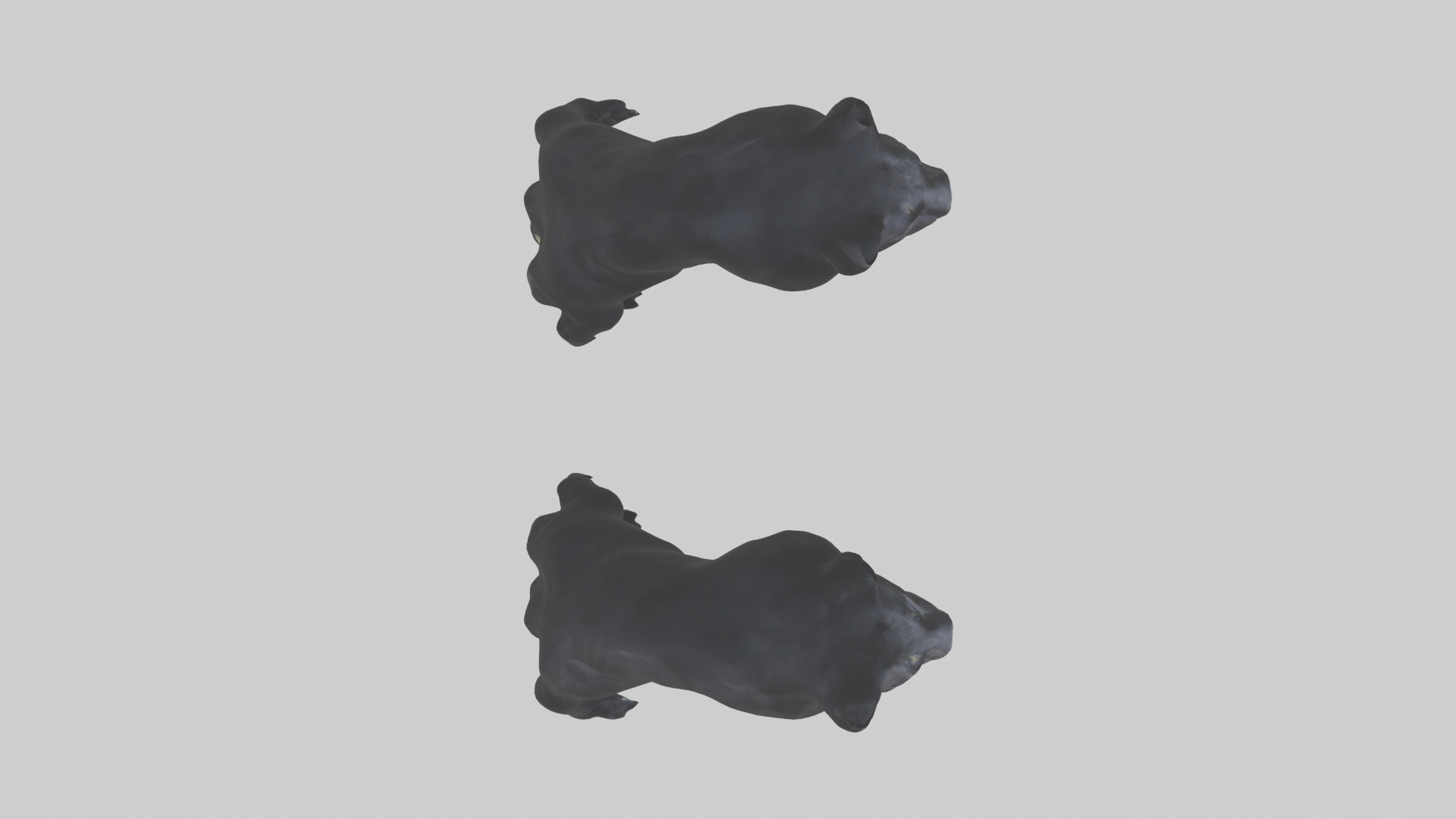 Panther Paws Low-poly 3D model_14