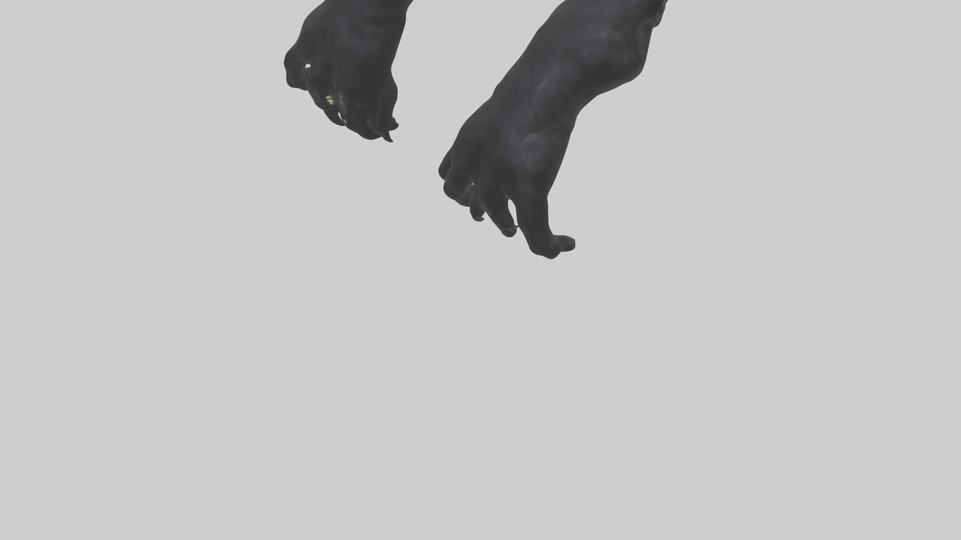 Panther Paws Low-poly 3D model_6