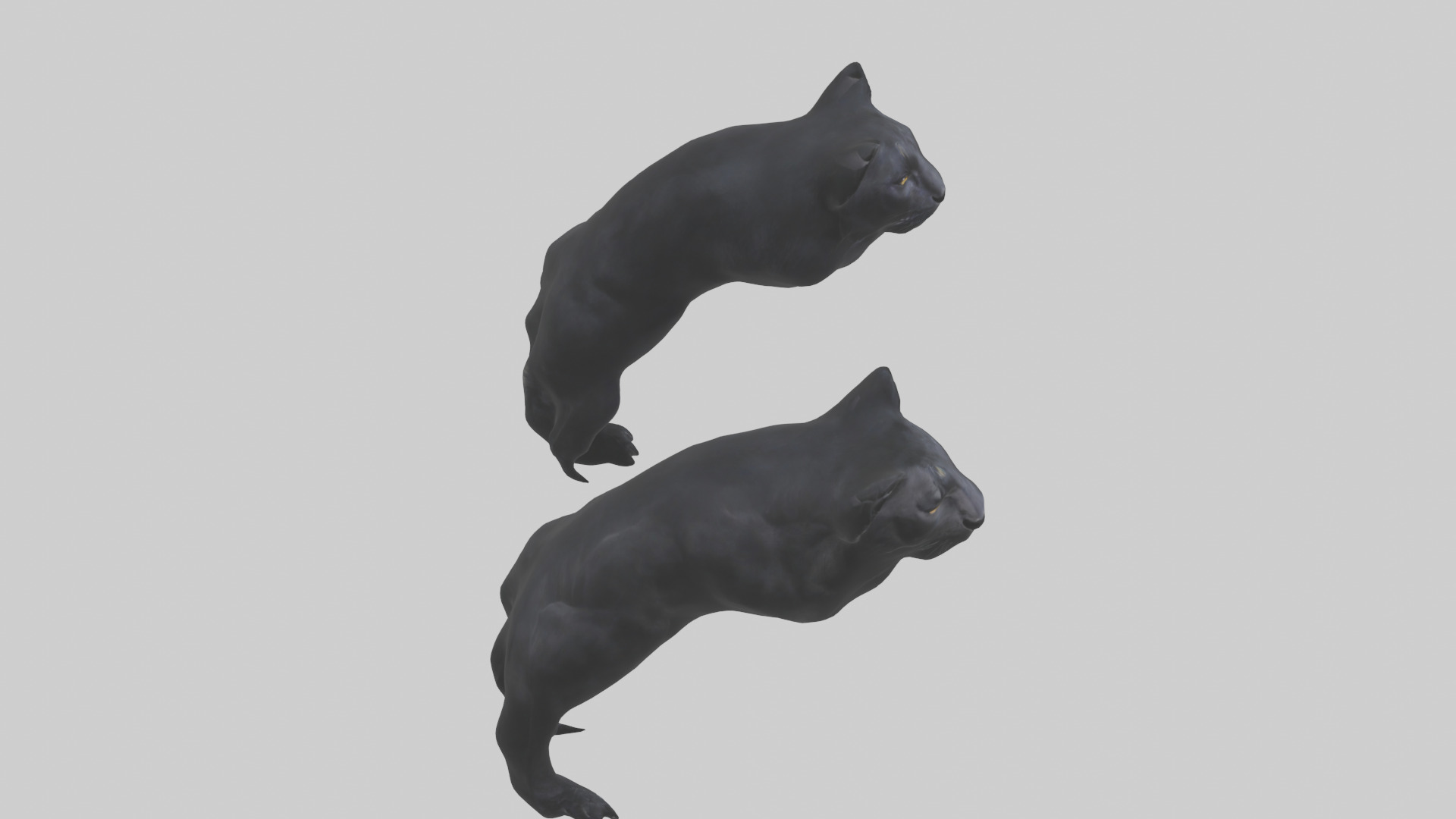 Panther Paws Low-poly 3D model_16