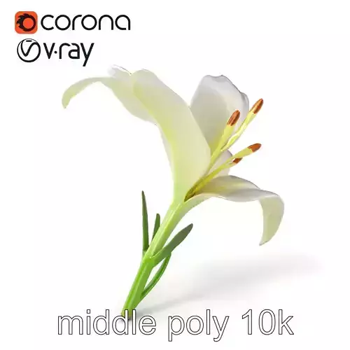Snow White Lily Realistic Flower model pack