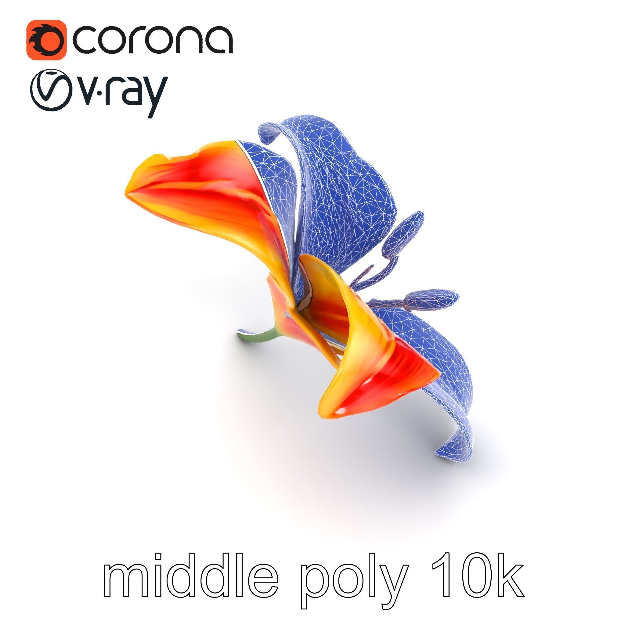 Asiatic Lily Flower Realistic Design model pack Low-poly 3D model_13