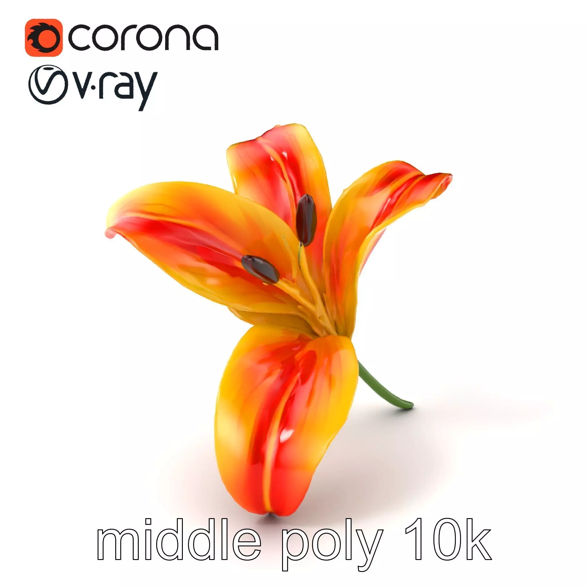 Asiatic Lily Flower Realistic Design model pack Low-poly 3D model_0