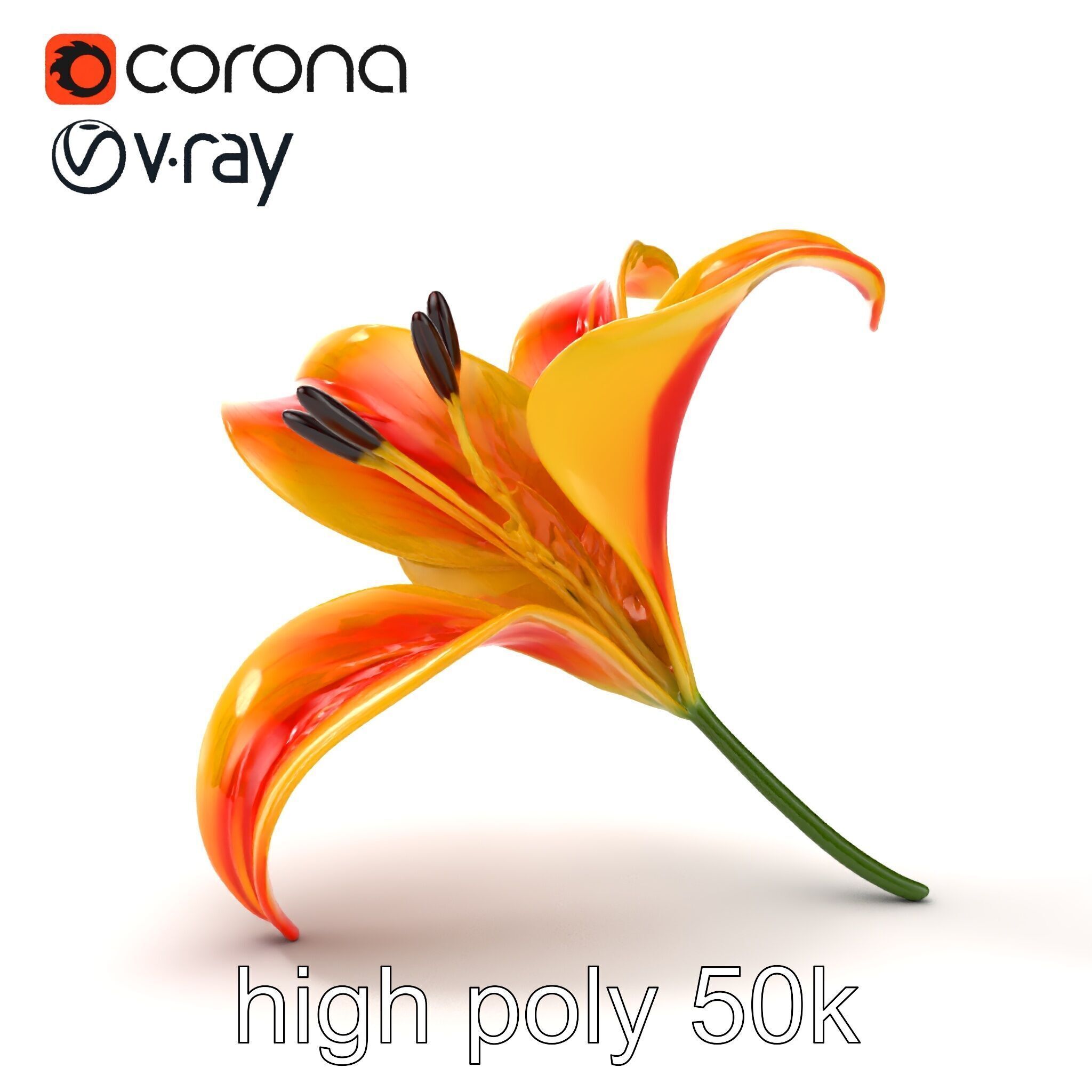 Asiatic Lily Flower Realistic Design model pack Low-poly 3D model_25