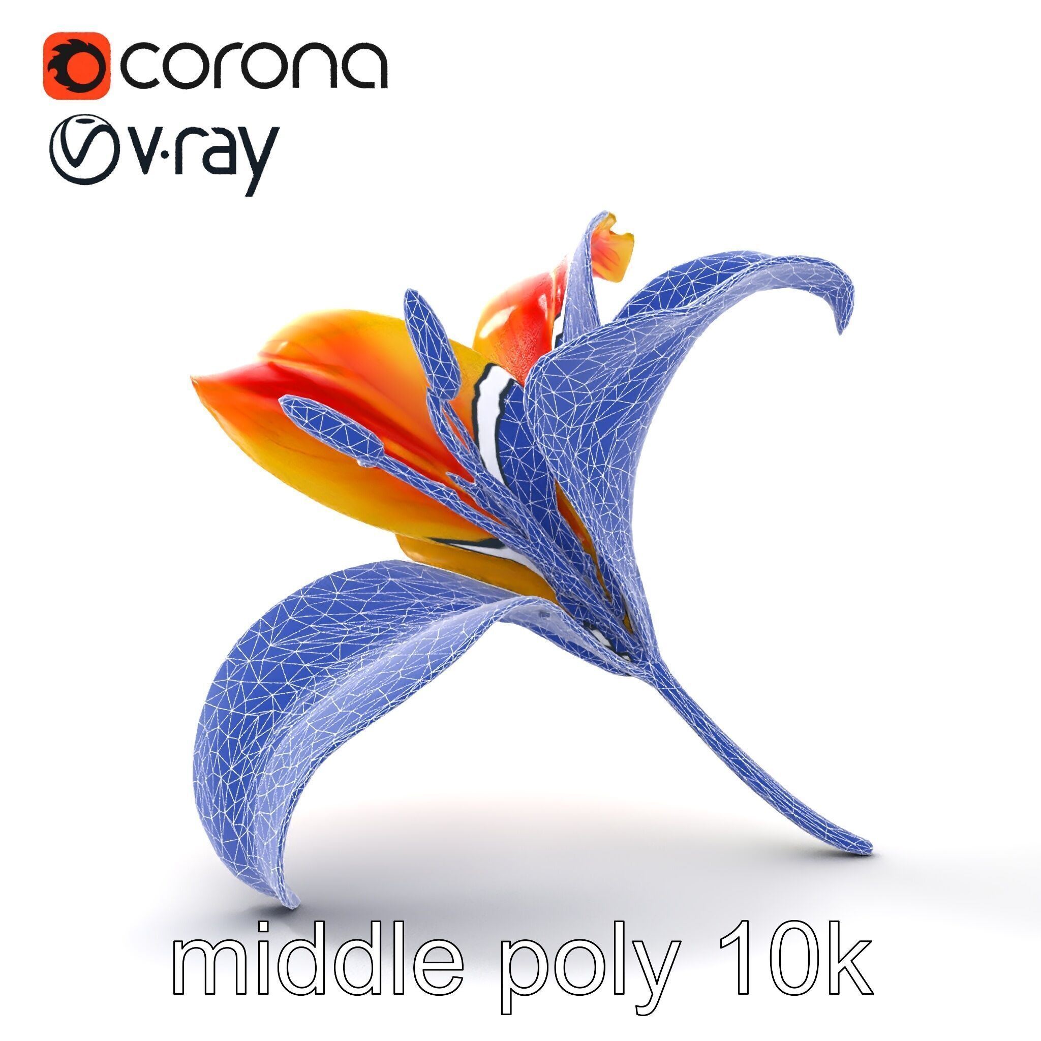 Asiatic Lily Flower Realistic Design model pack Low-poly 3D model_20