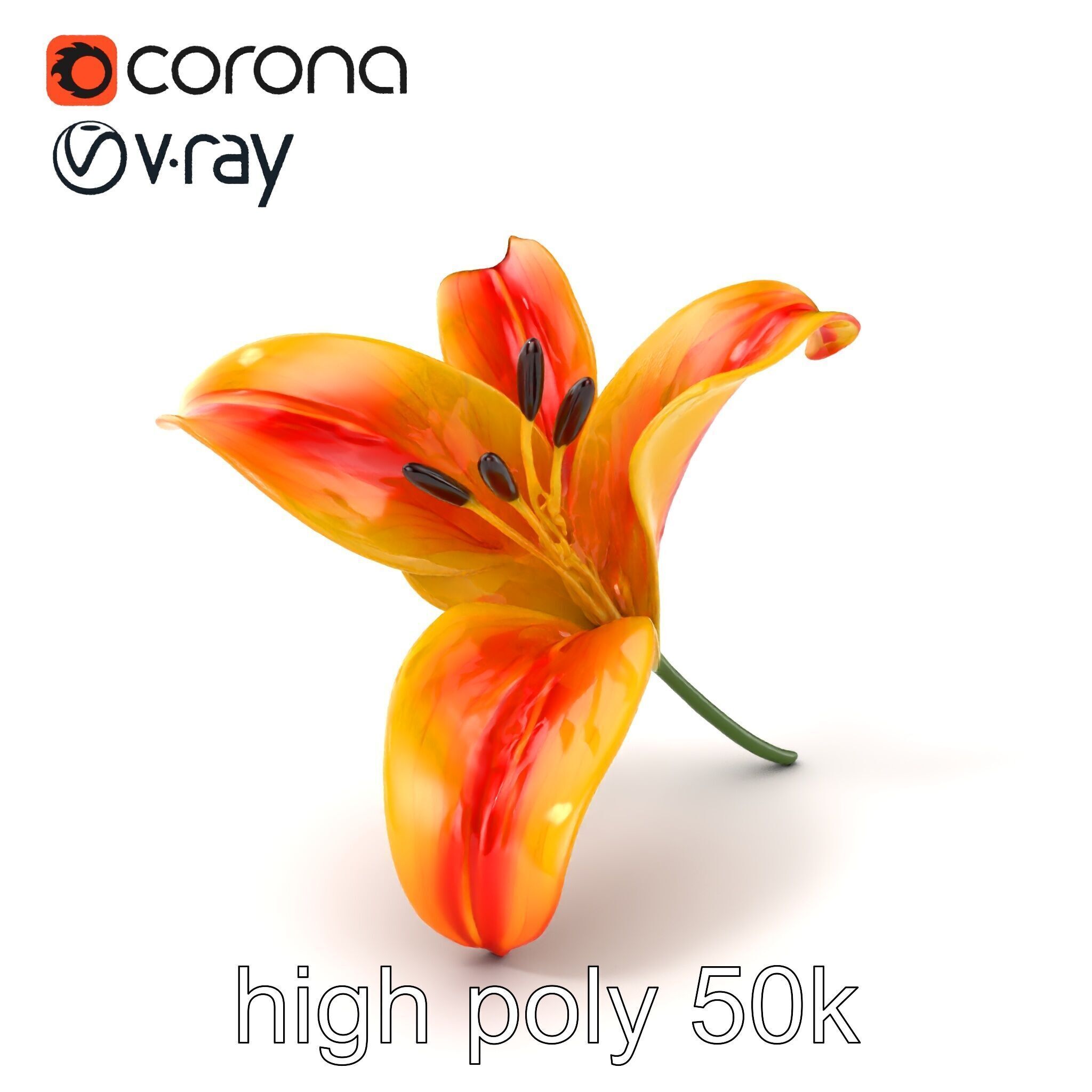 Asiatic Lily Flower Realistic Design model pack Low-poly 3D model_2