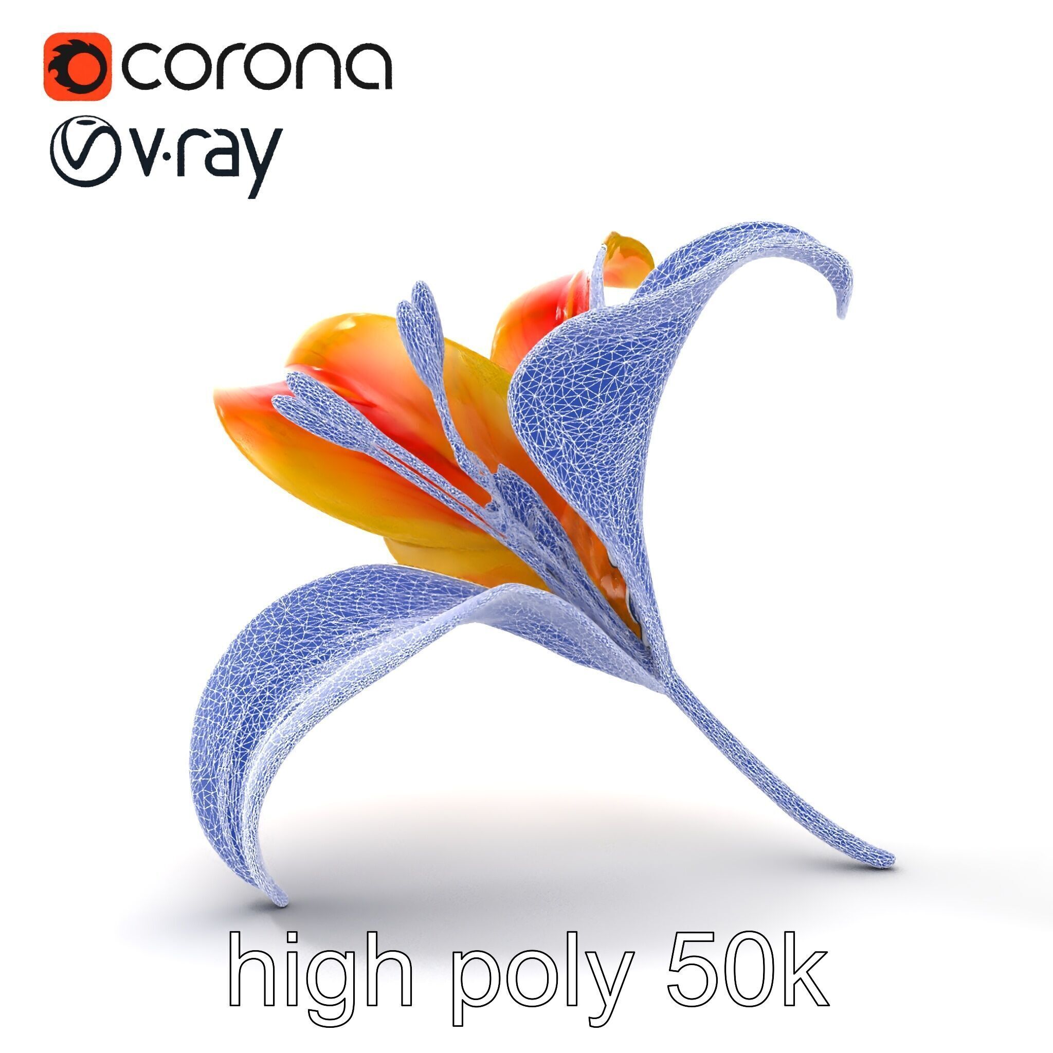 Asiatic Lily Flower Realistic Design model pack Low-poly 3D model_19