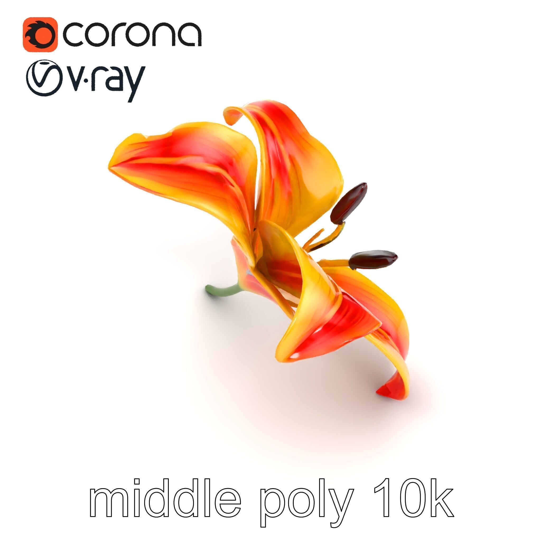 Asiatic Lily Flower Realistic Design model pack Low-poly 3D model_30
