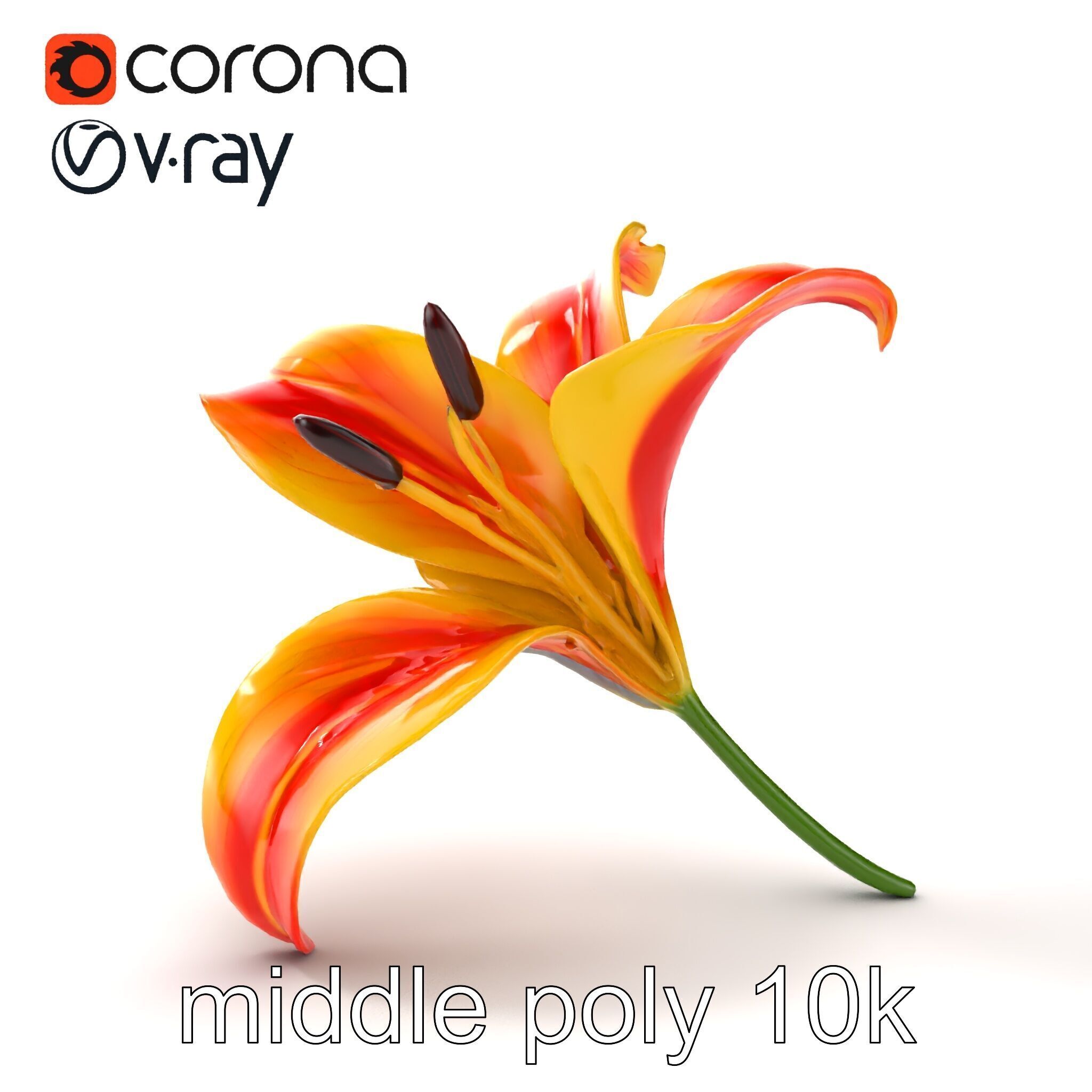 Asiatic Lily Flower Realistic Design model pack Low-poly 3D model_22