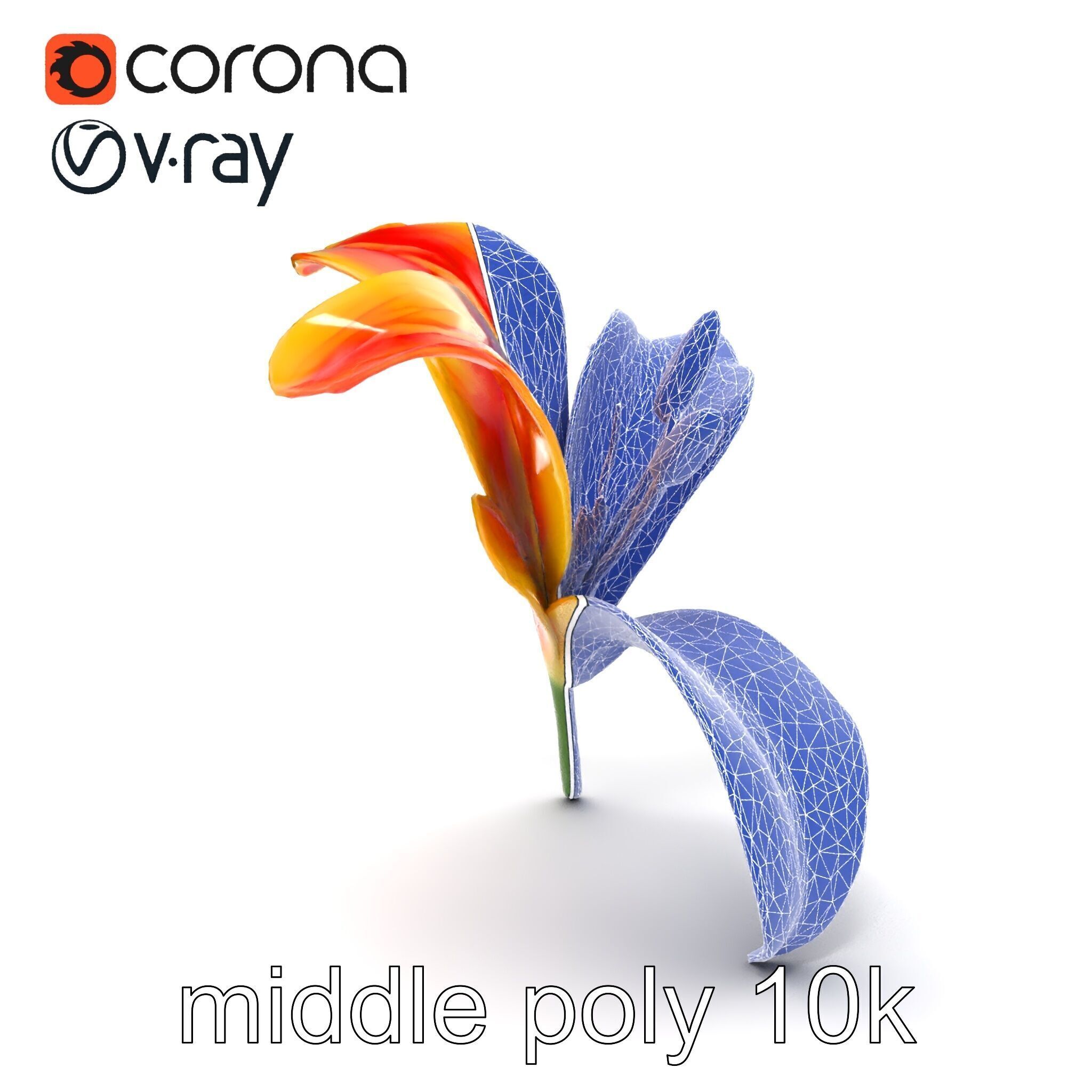 Asiatic Lily Flower Realistic Design model pack Low-poly 3D model_28