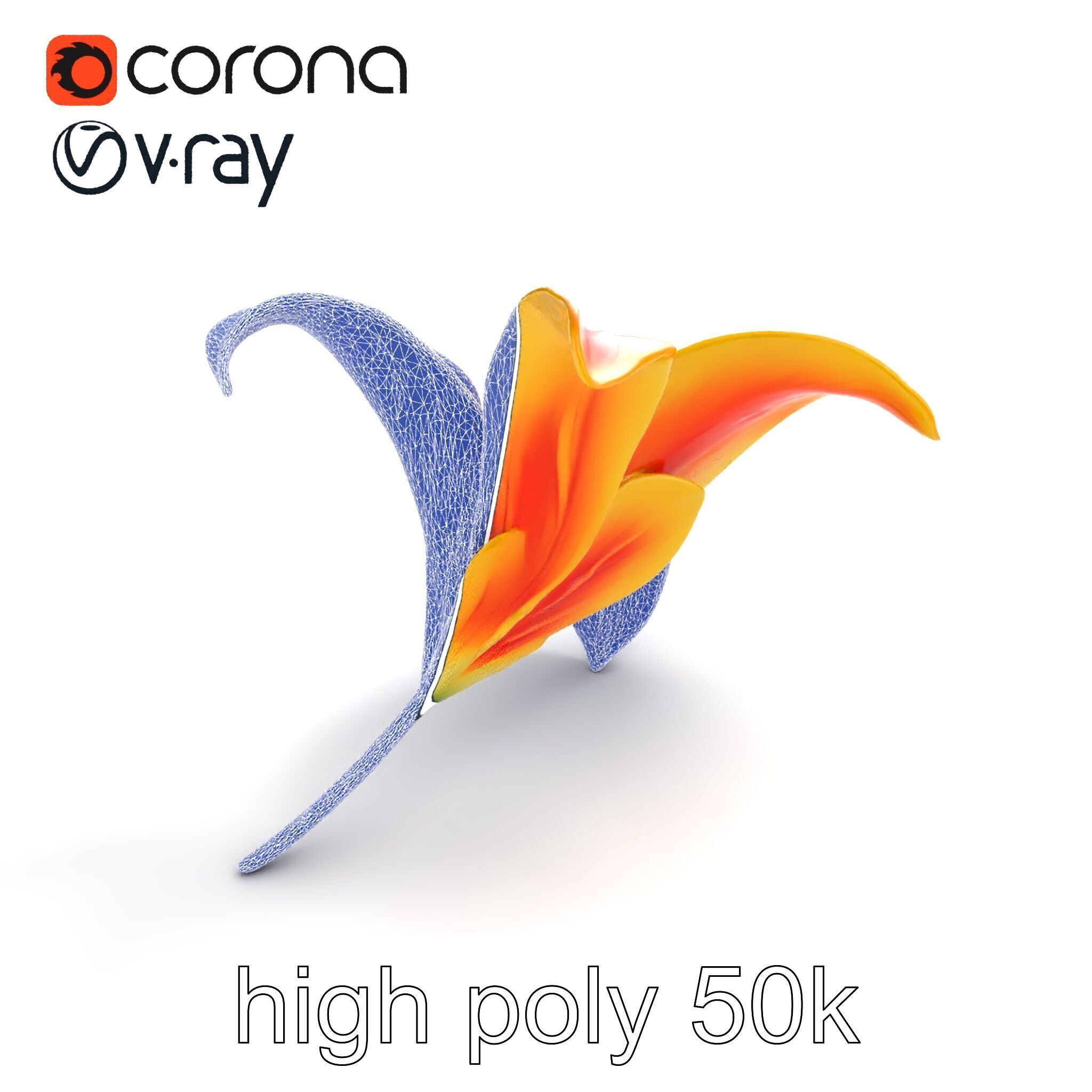 Asiatic Lily Flower Realistic Design model pack Low-poly 3D model_29