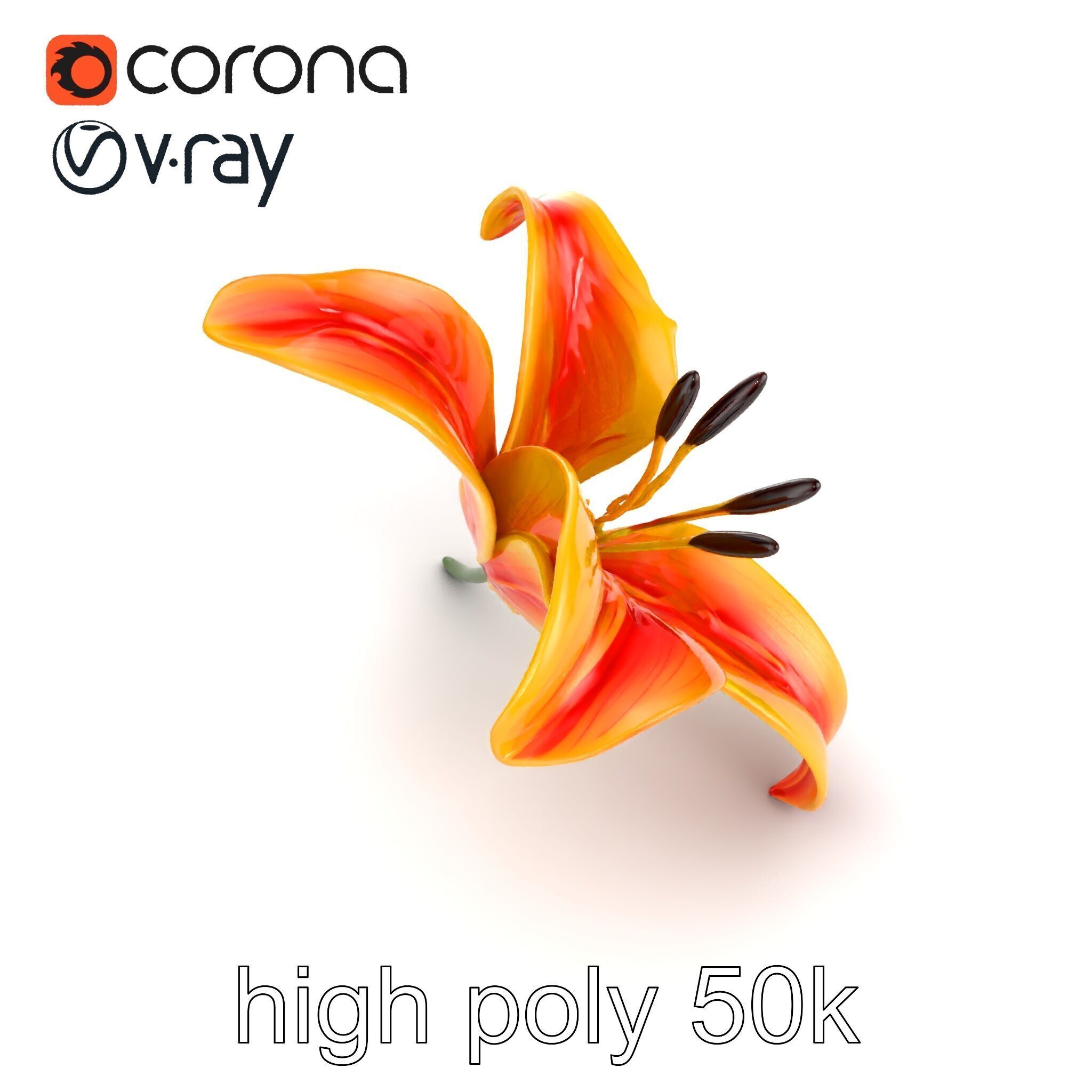 Asiatic Lily Flower Realistic Design model pack Low-poly 3D model_14