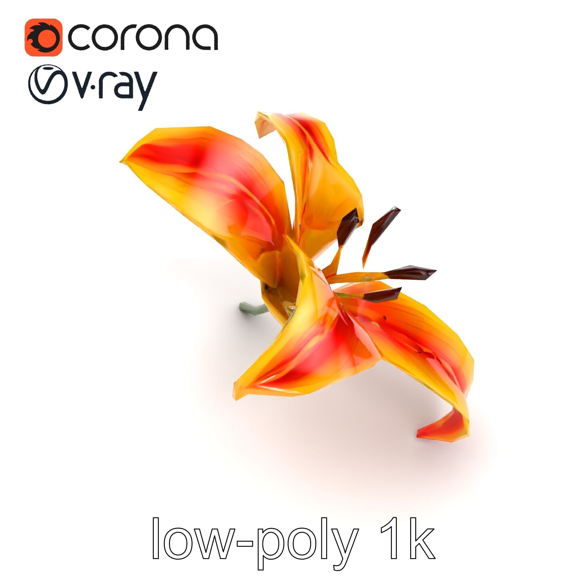 Asiatic Lily Flower Realistic Design model pack Low-poly 3D model_16