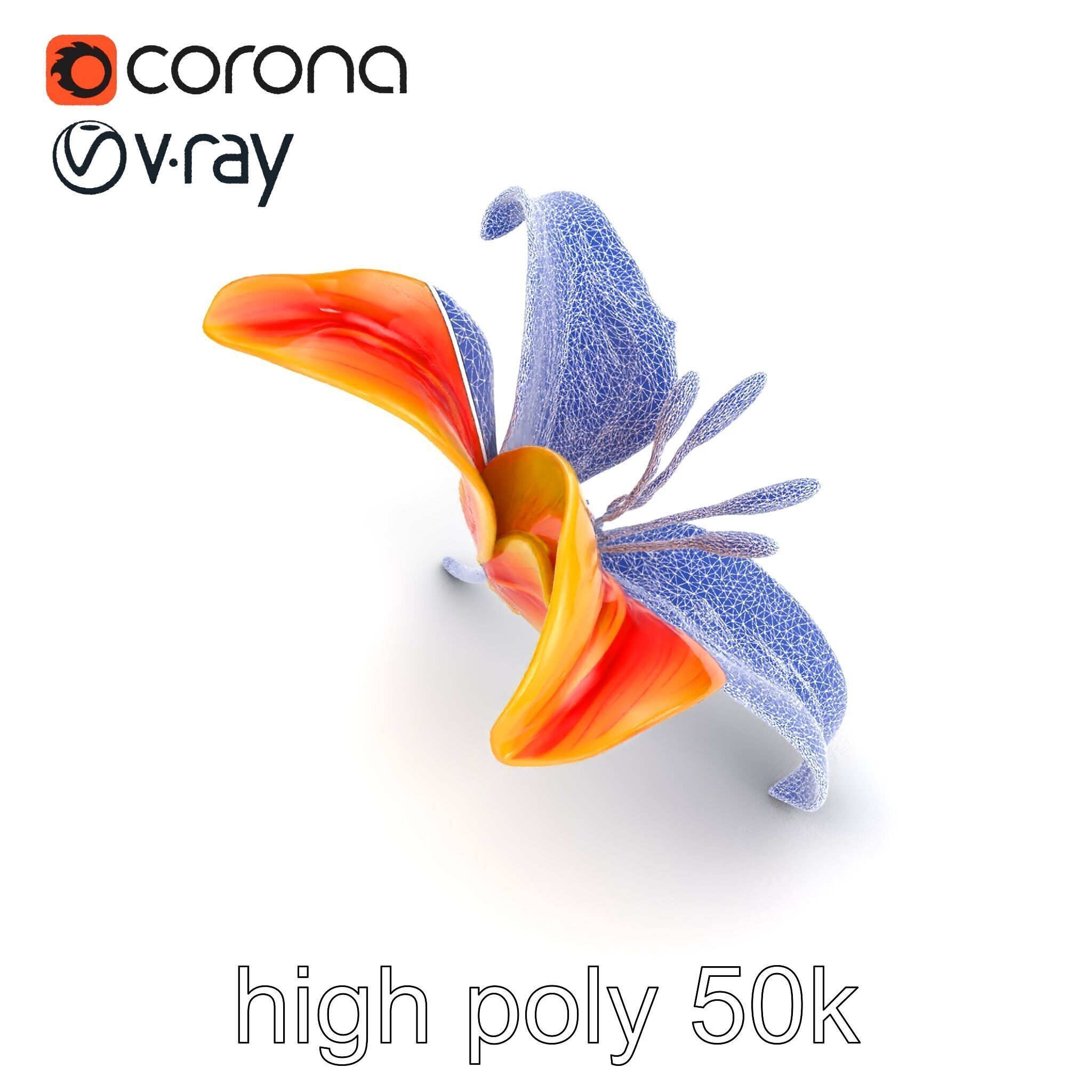 Asiatic Lily Flower Realistic Design model pack Low-poly 3D model_26