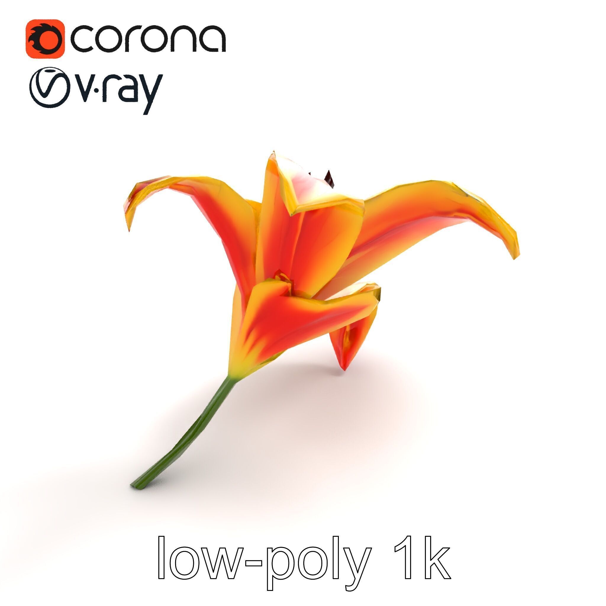 Asiatic Lily Flower Realistic Design model pack Low-poly 3D model_9