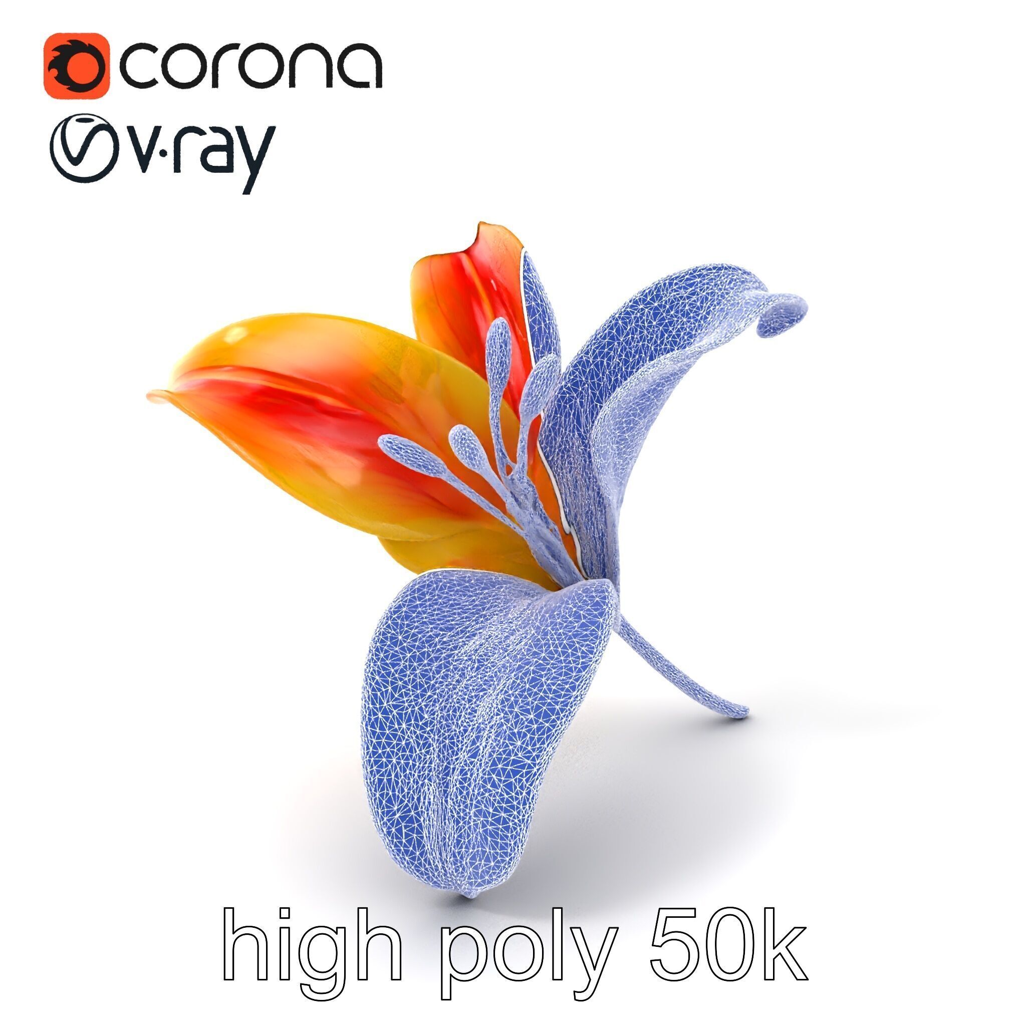 Asiatic Lily Flower Realistic Design model pack Low-poly 3D model_10