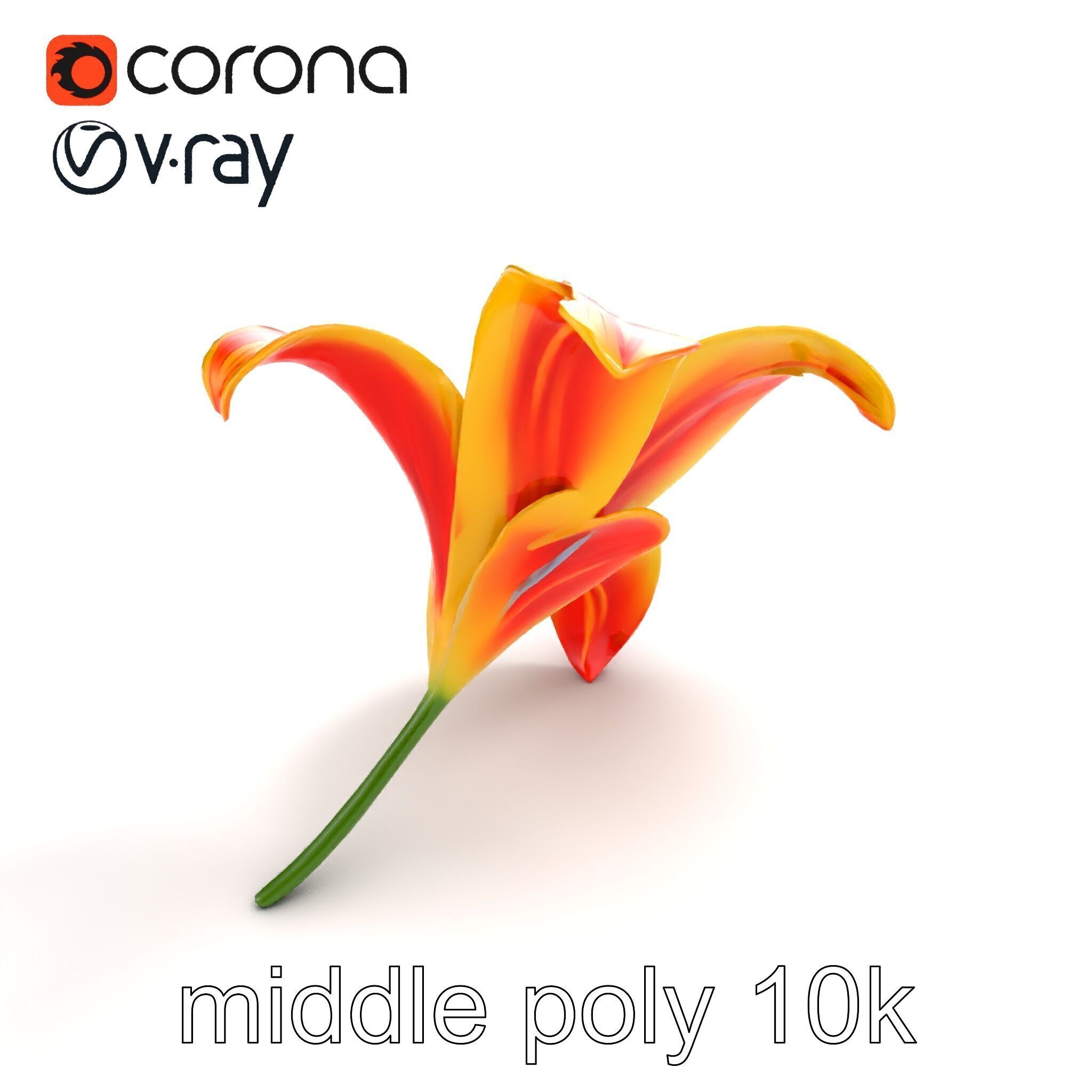 Asiatic Lily Flower Realistic Design model pack Low-poly 3D model_8