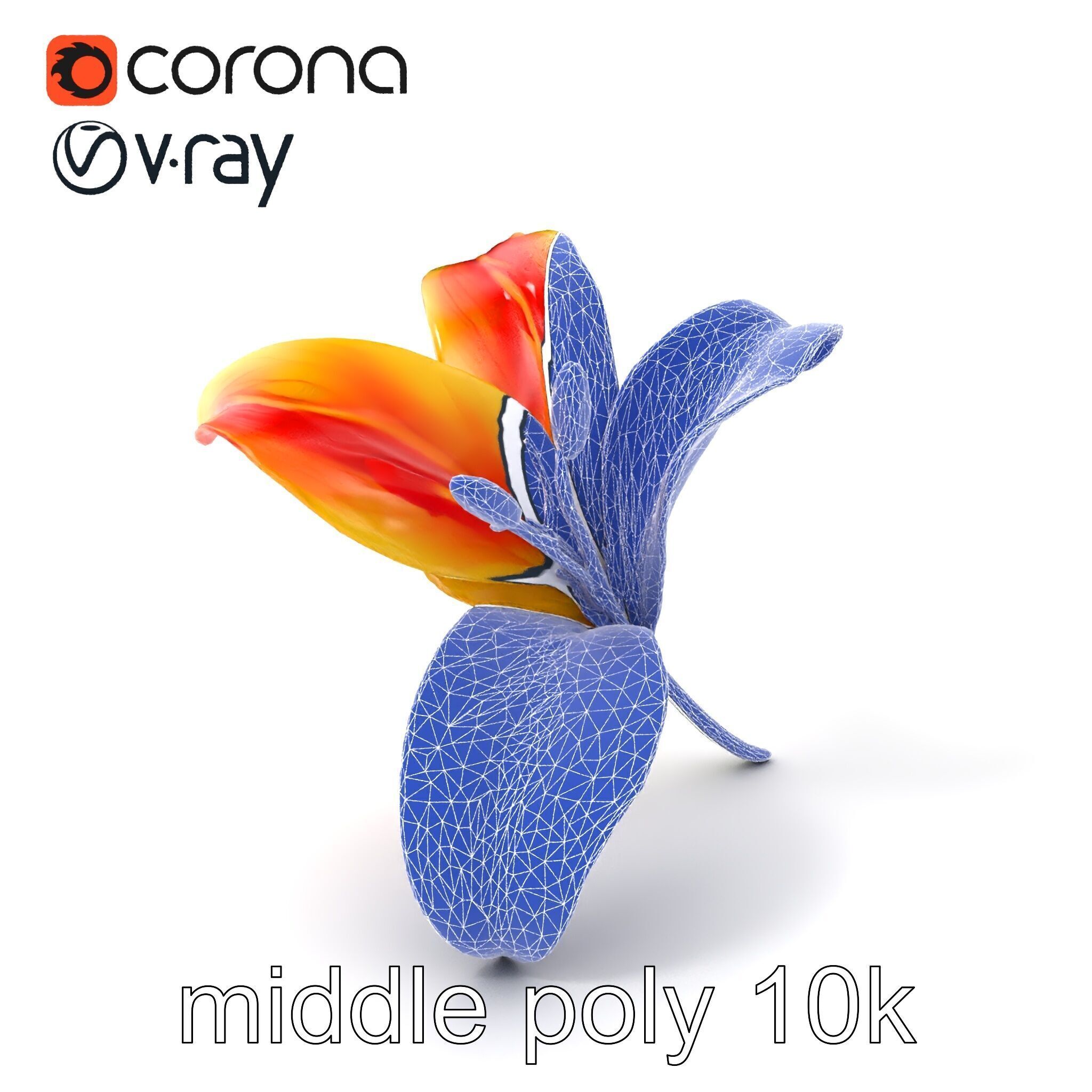 Asiatic Lily Flower Realistic Design model pack Low-poly 3D model_6