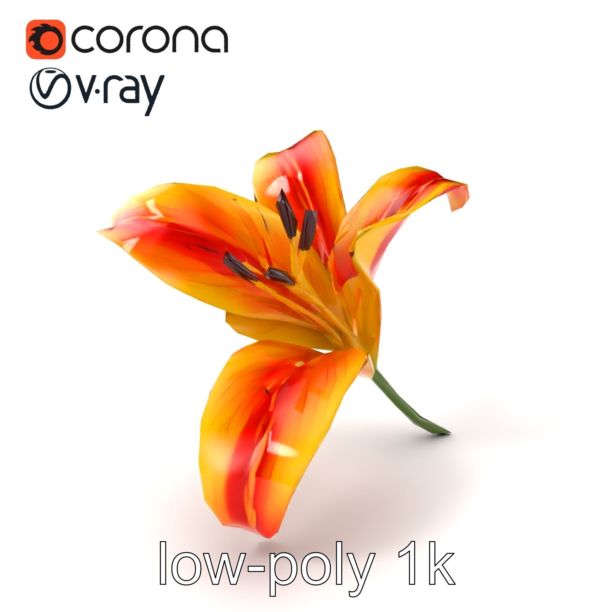 Asiatic Lily Flower Realistic Design model pack Low-poly 3D model_5