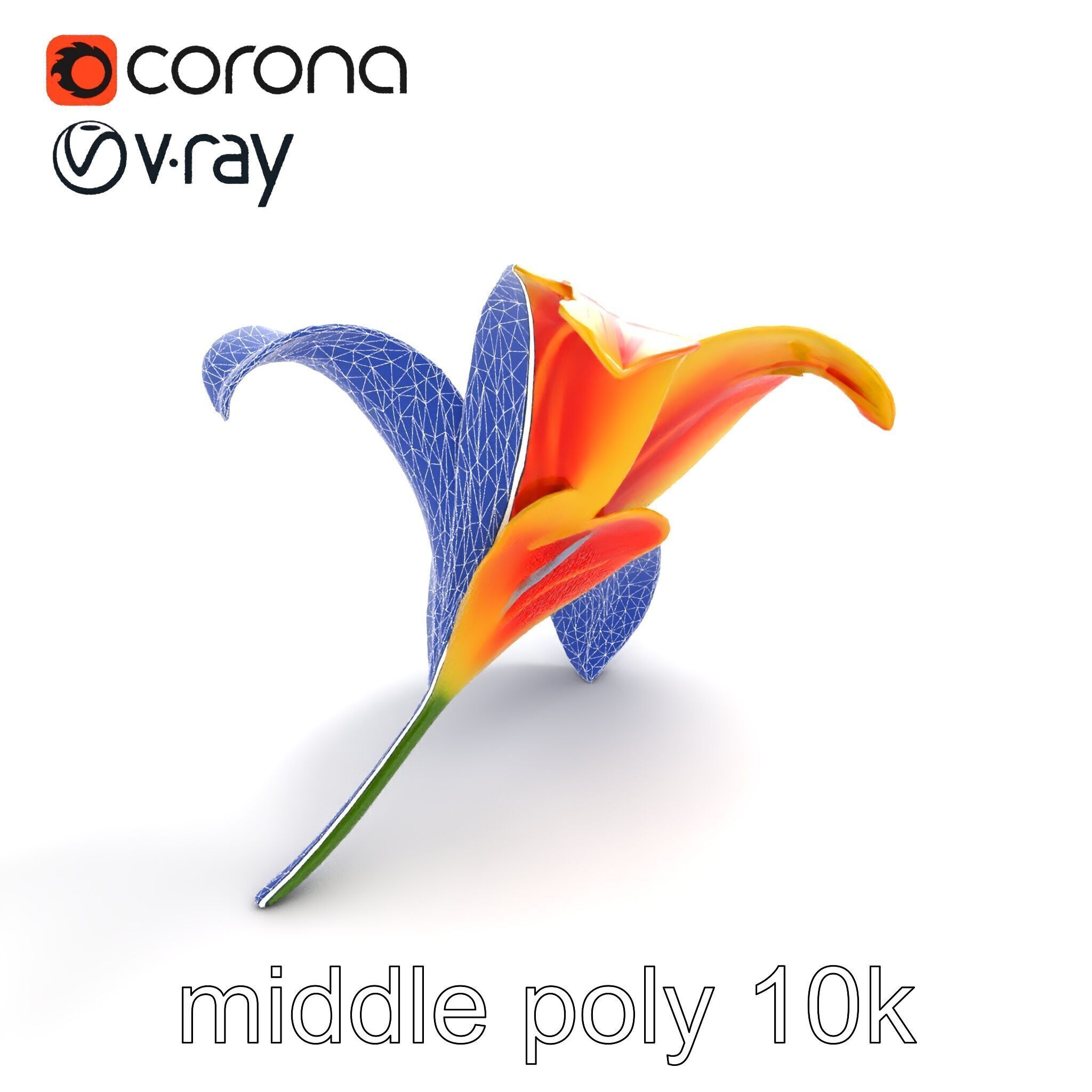 Asiatic Lily Flower Realistic Design model pack Low-poly 3D model_11