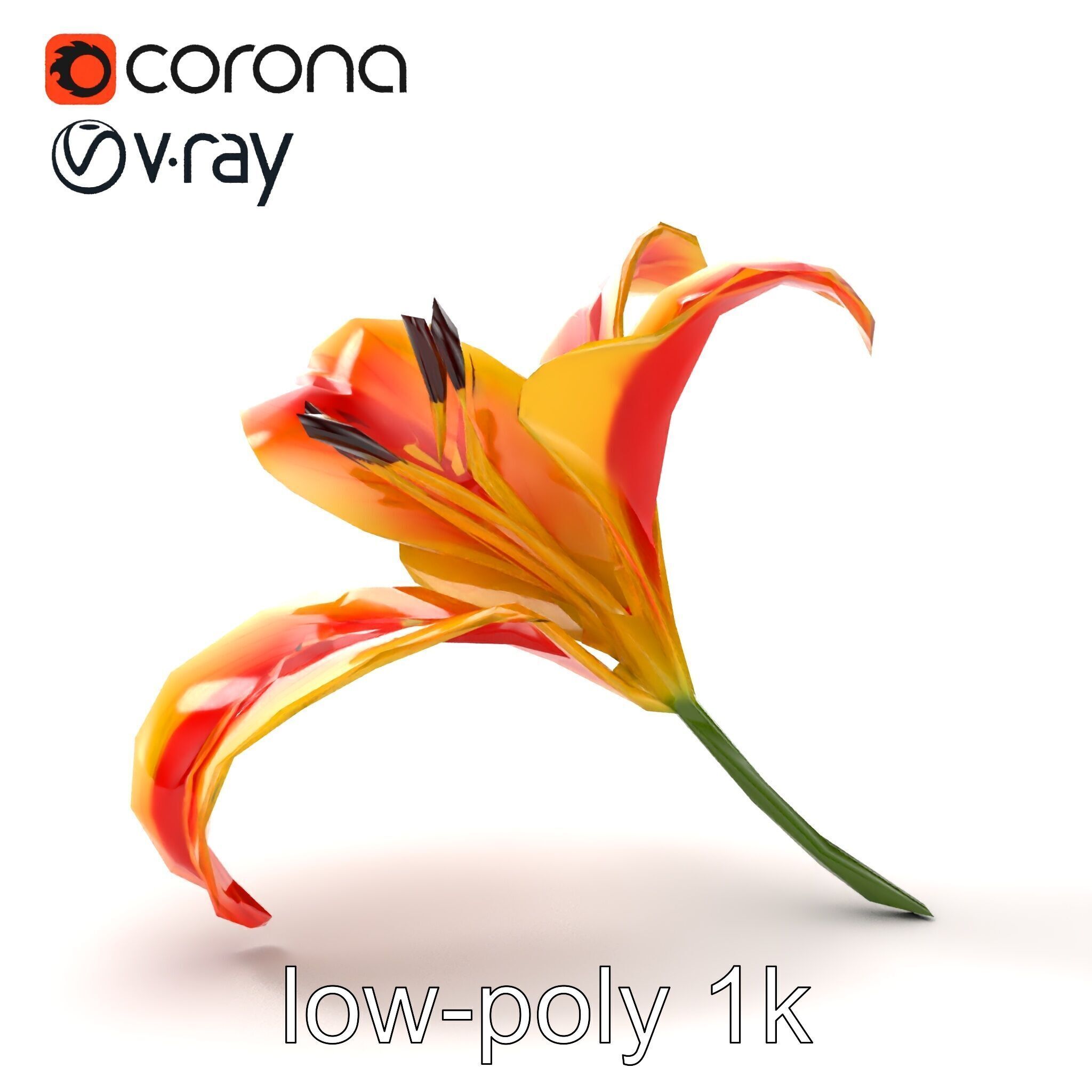 Asiatic Lily Flower Realistic Design model pack Low-poly 3D model_32