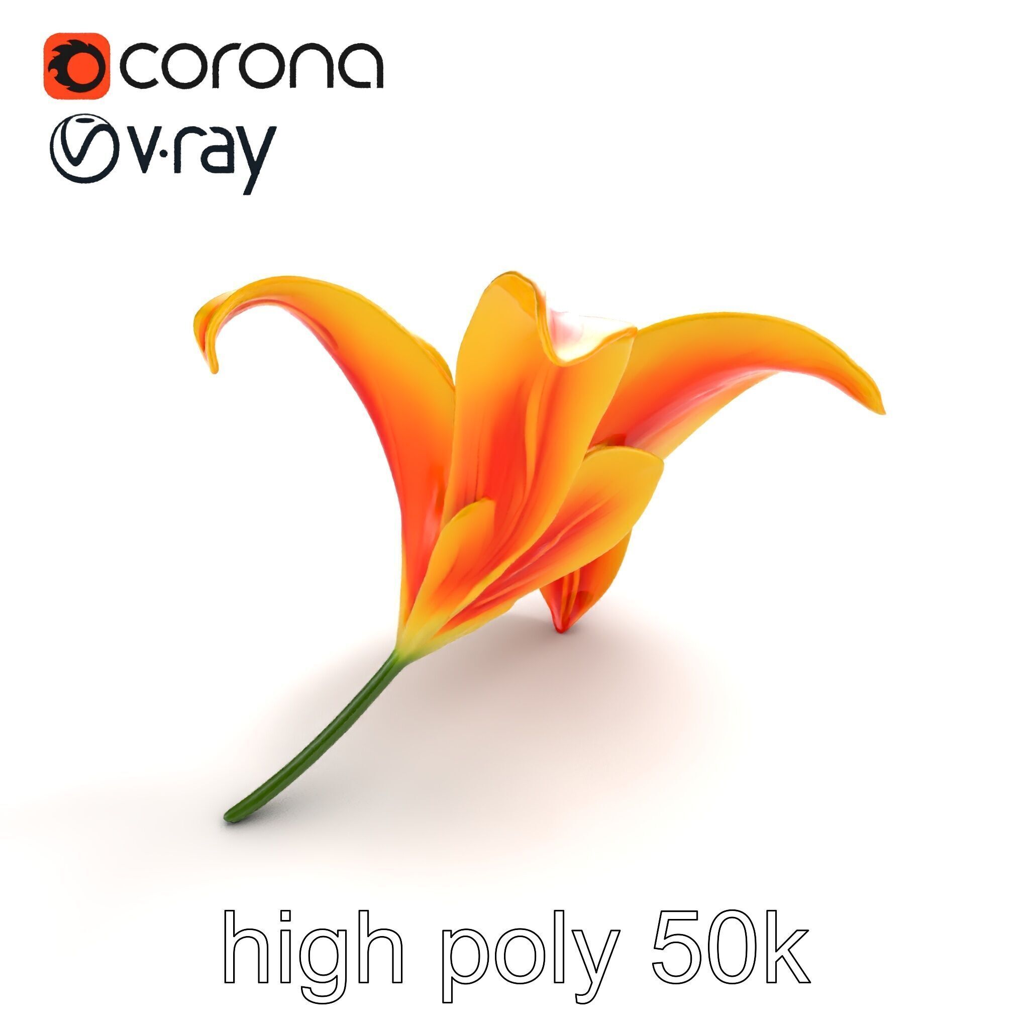 Asiatic Lily Flower Realistic Design model pack Low-poly 3D model_15