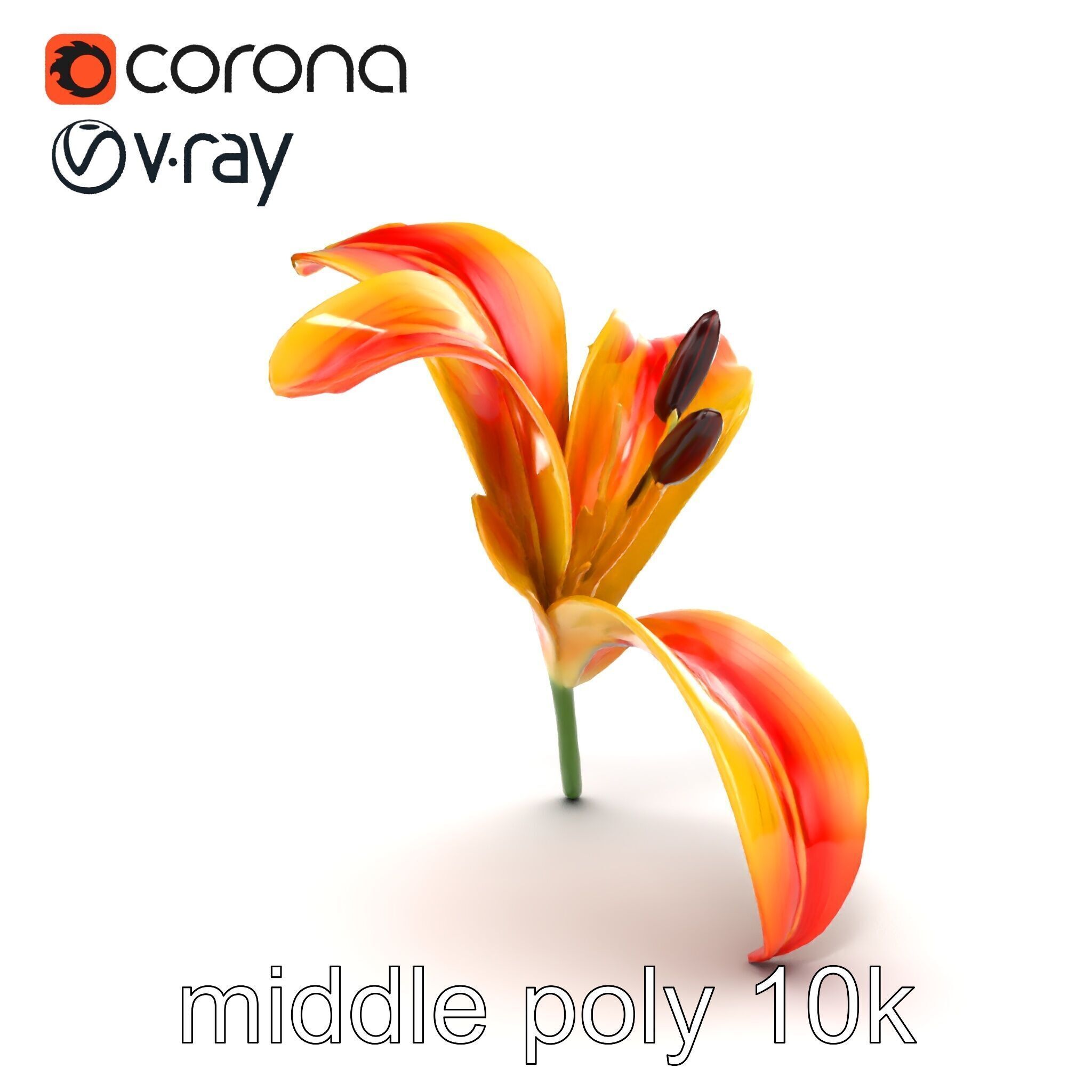 Asiatic Lily Flower Realistic Design model pack Low-poly 3D model_17