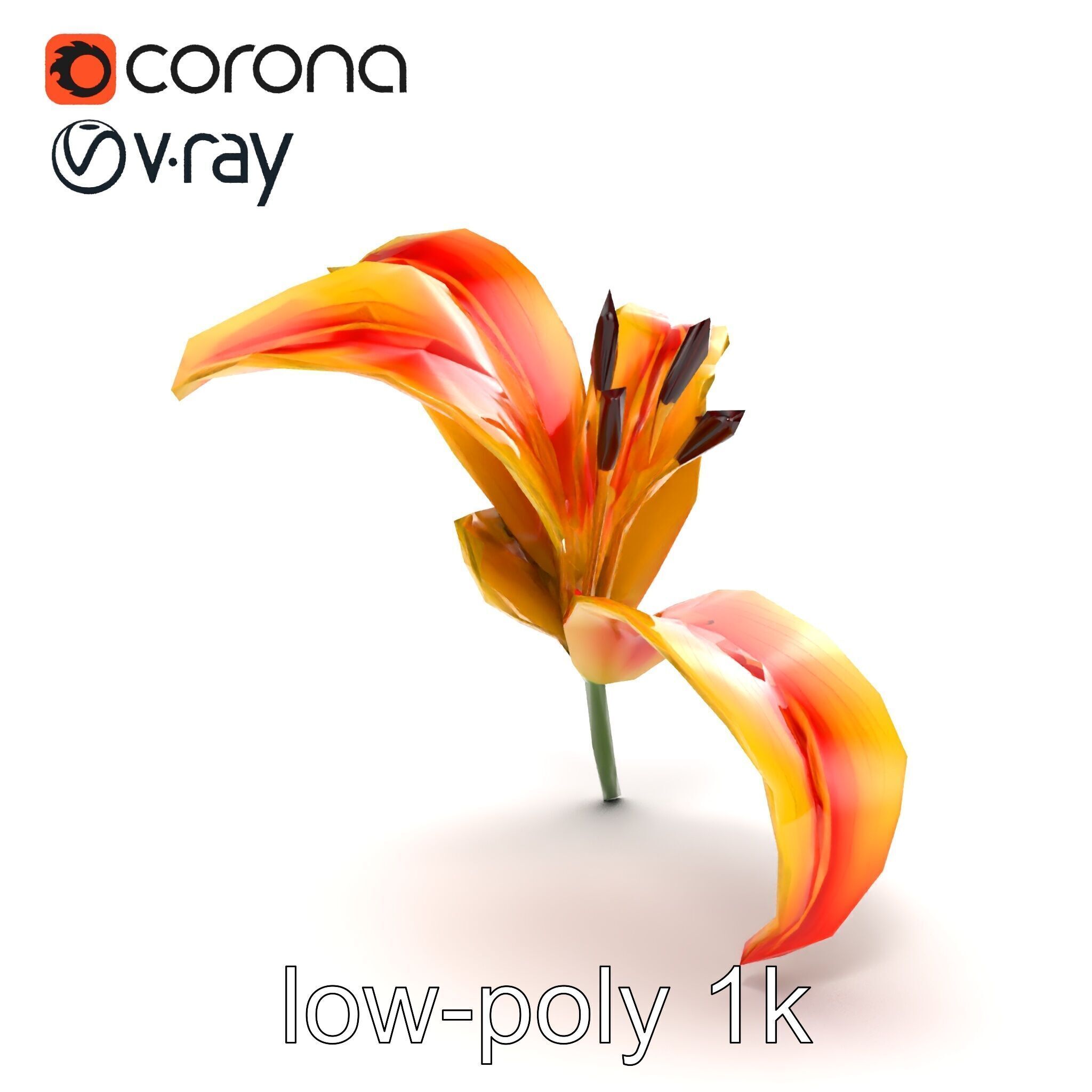 Asiatic Lily Flower Realistic Design model pack Low-poly 3D model_21