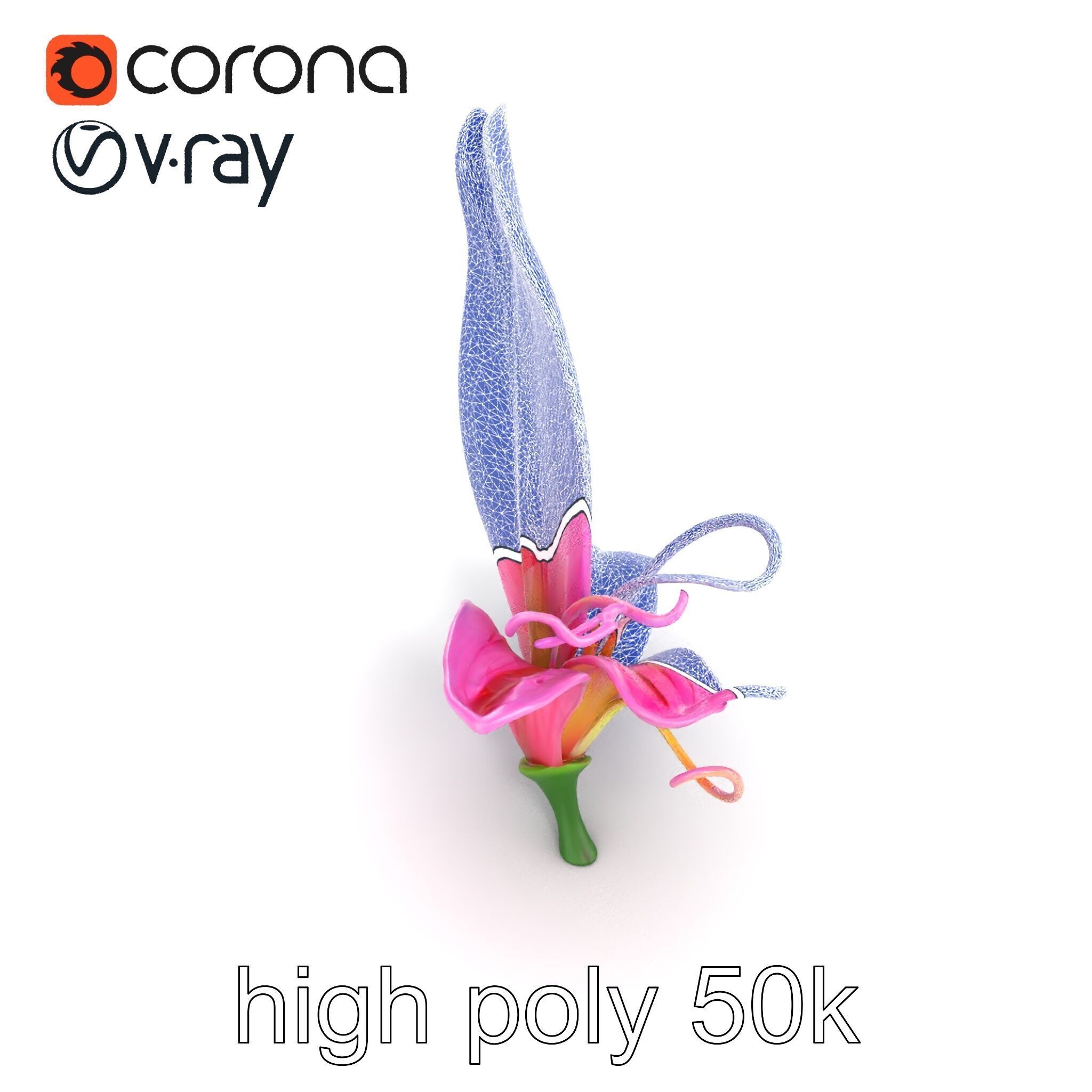 Martagon Lily Flower Sculpture model pack Low-poly 3D model_10
